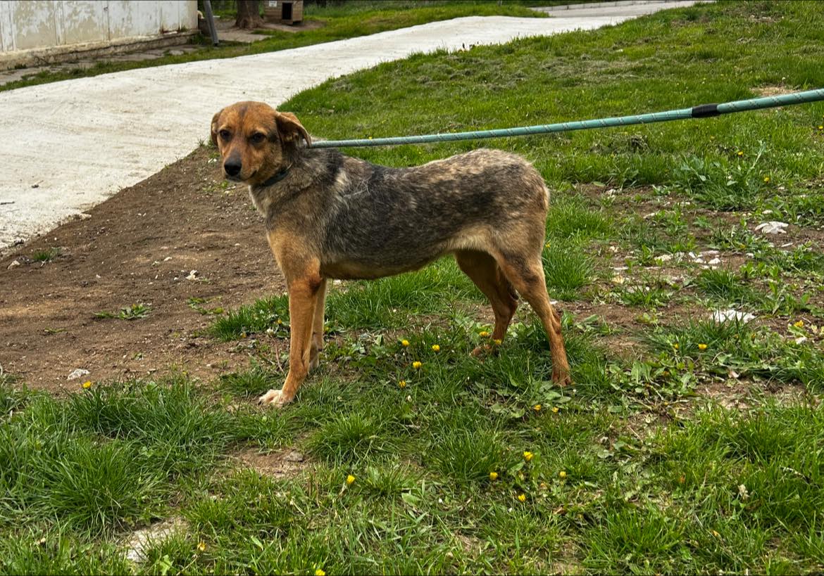 Nuxy, Bild 6