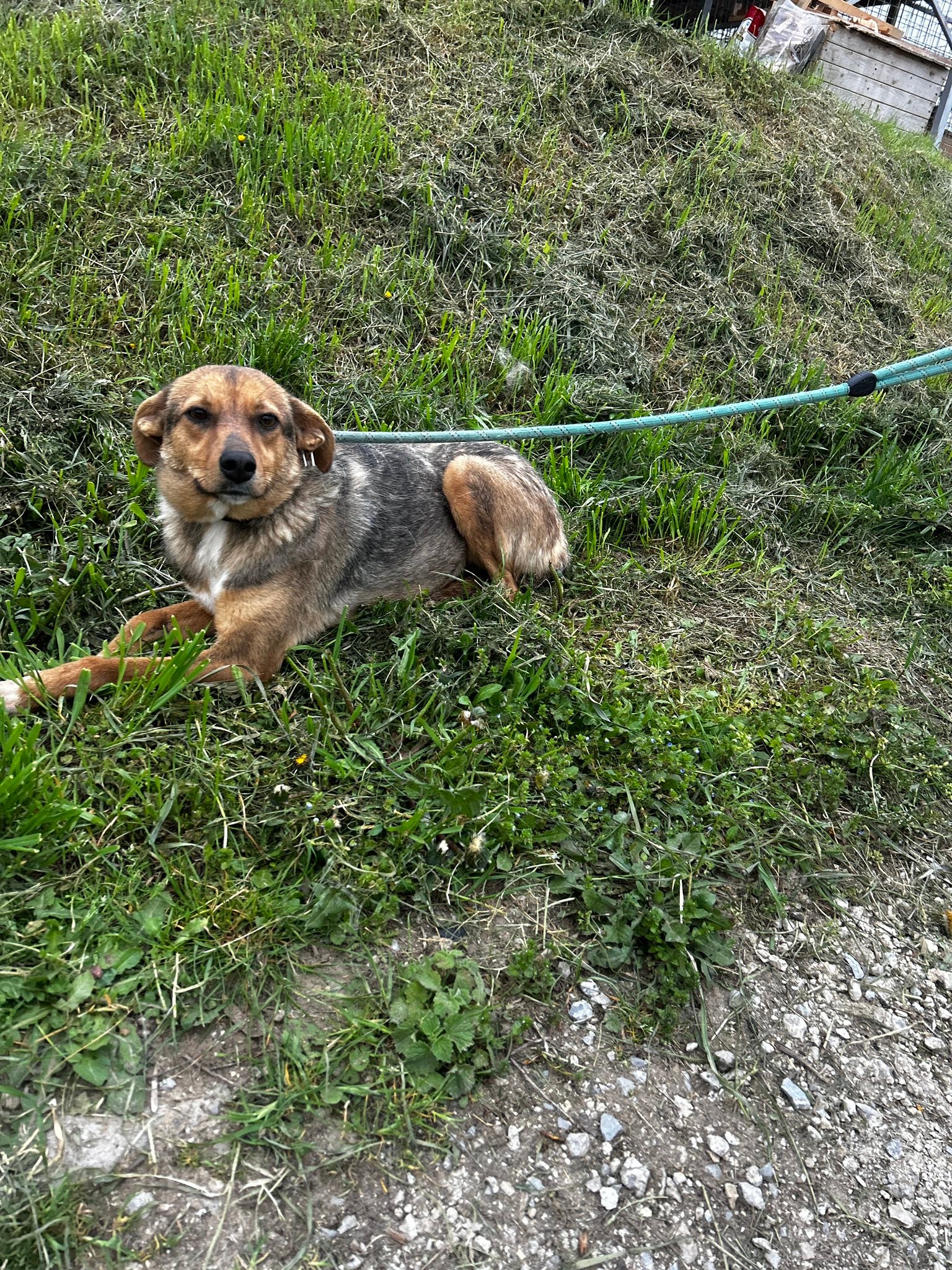Nuxy, Bild 7