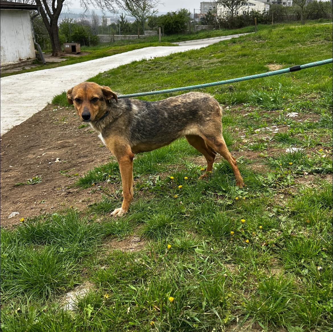 Nuxy, Bild 8