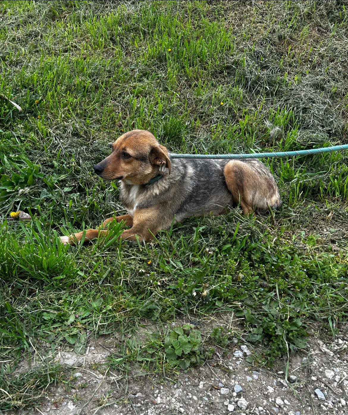 Nuxy, Bild 9