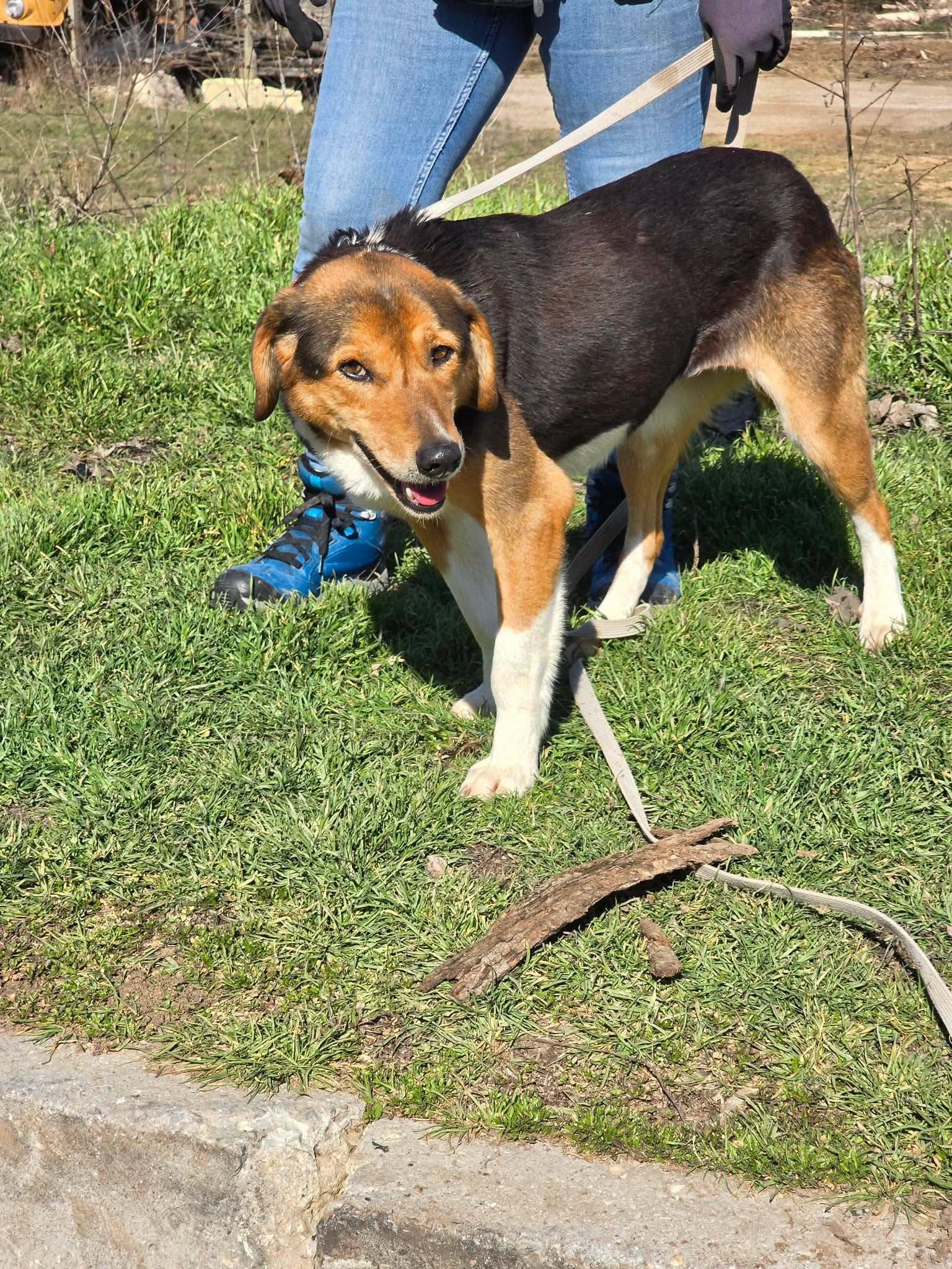 Olivia, Bild 13