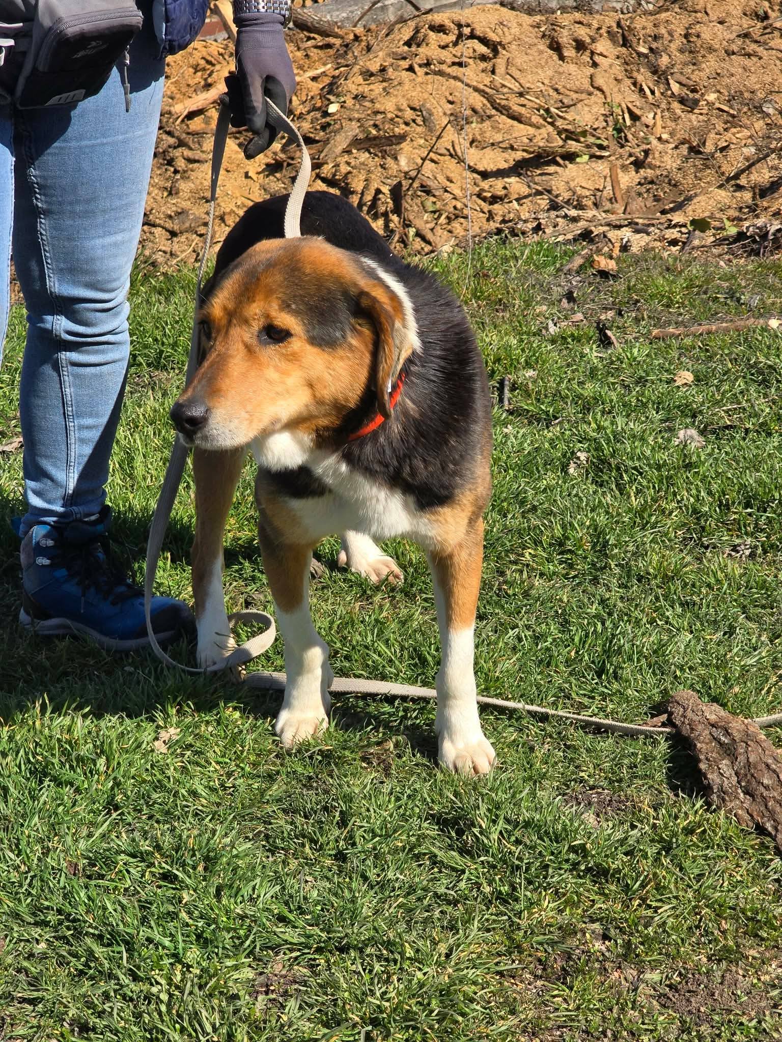 Olivia, Bild 16