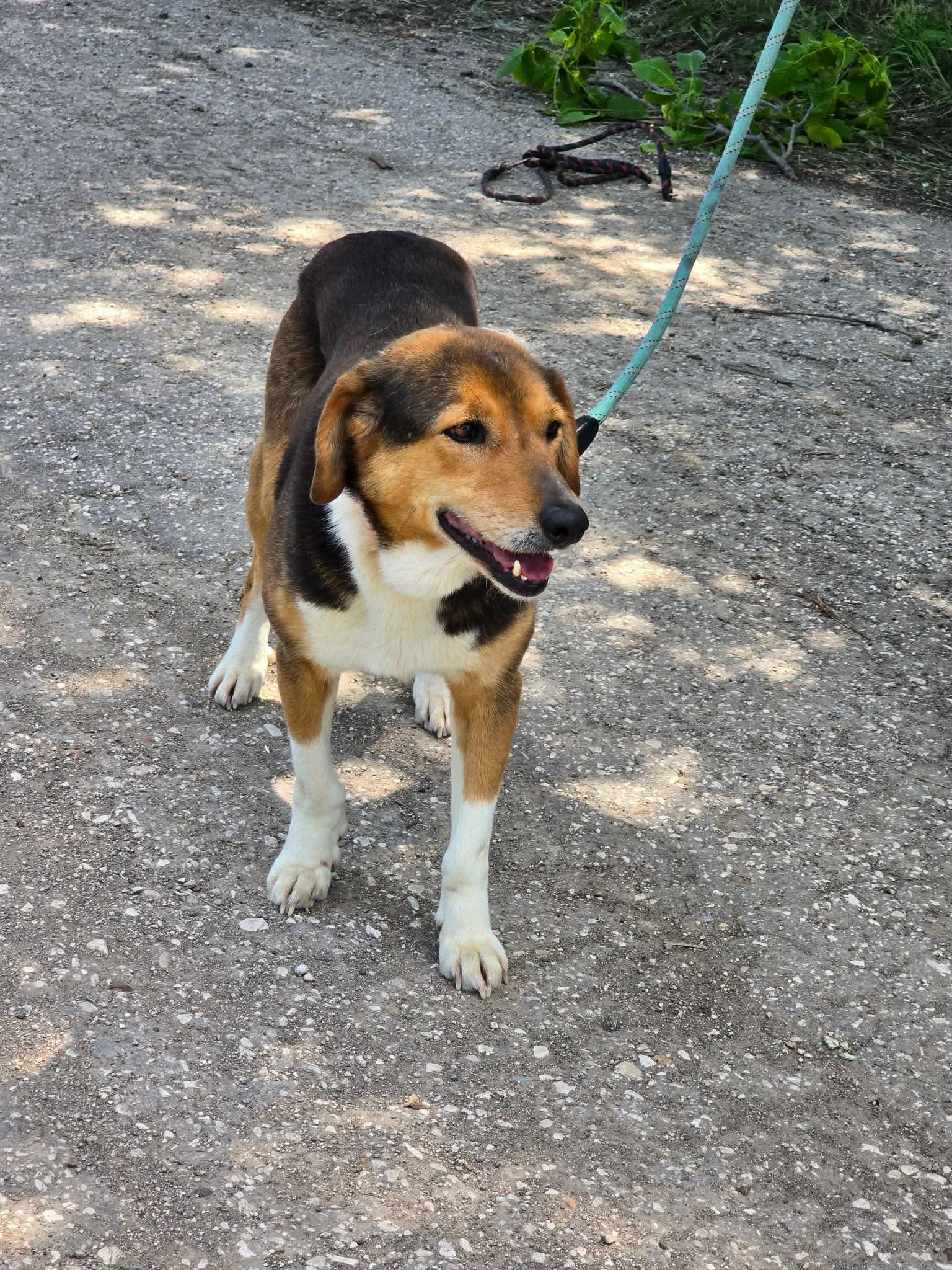 Olivia, Bild 3