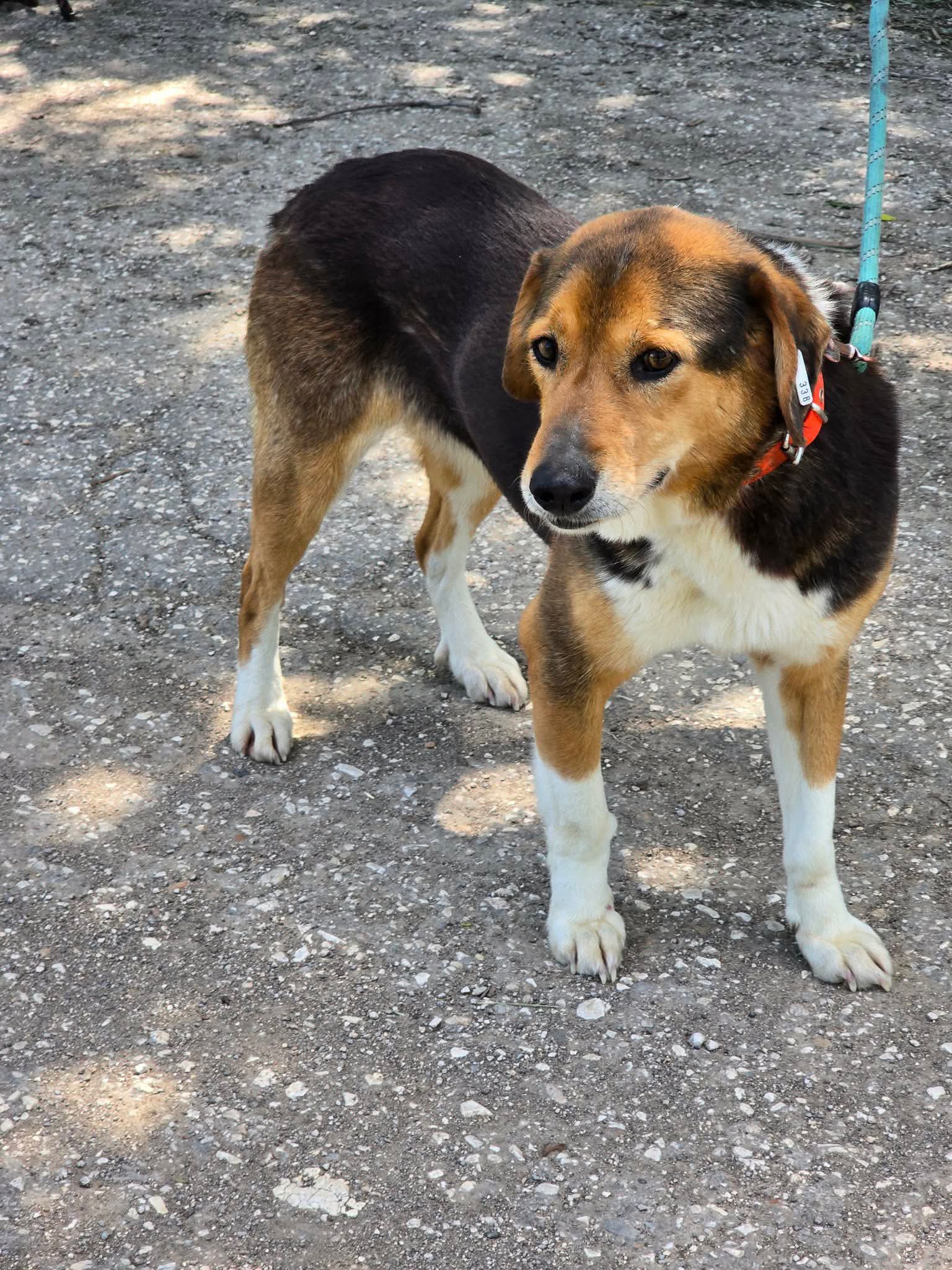 Olivia, Bild 4