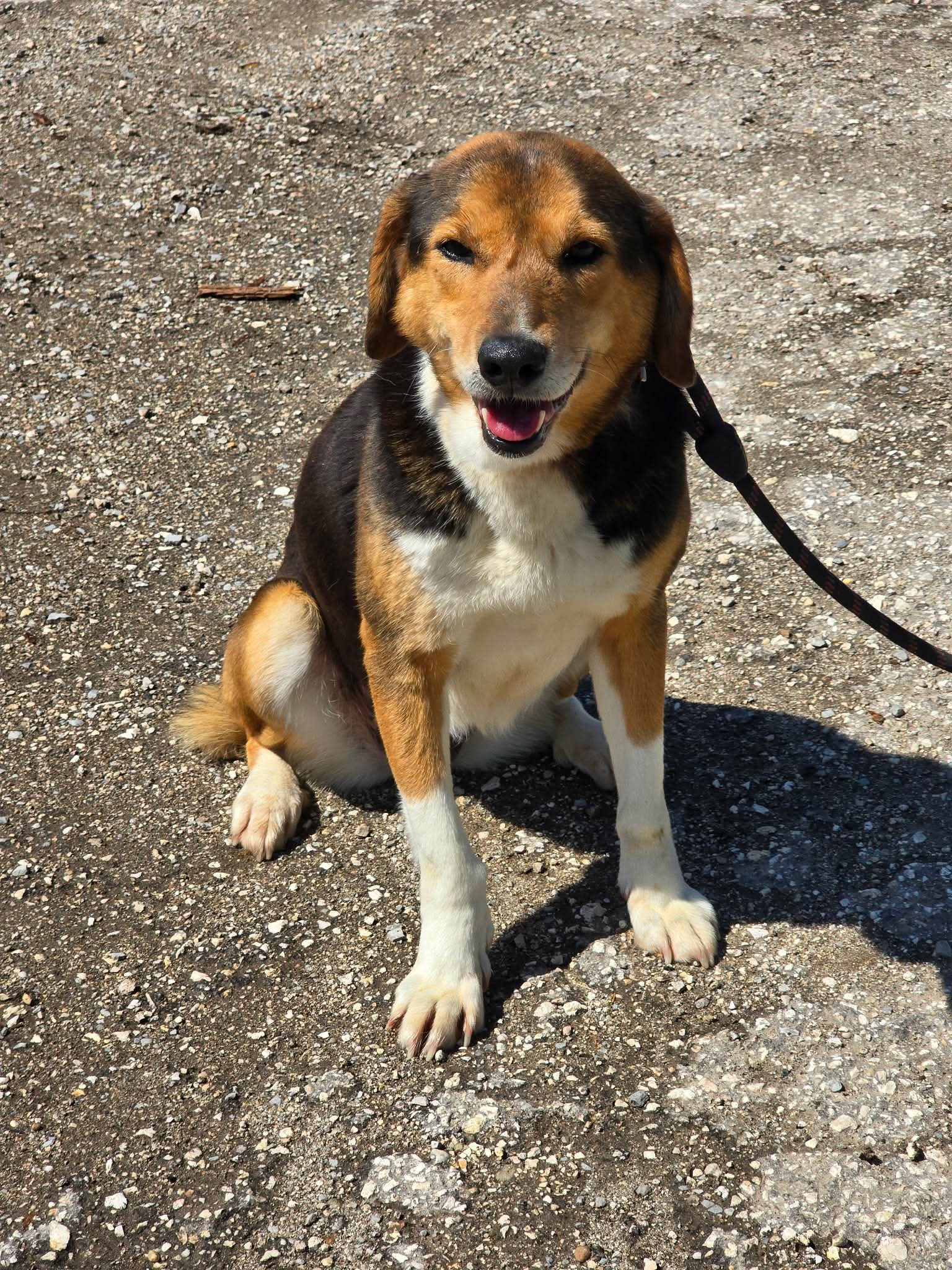 Olivia, Bild 6