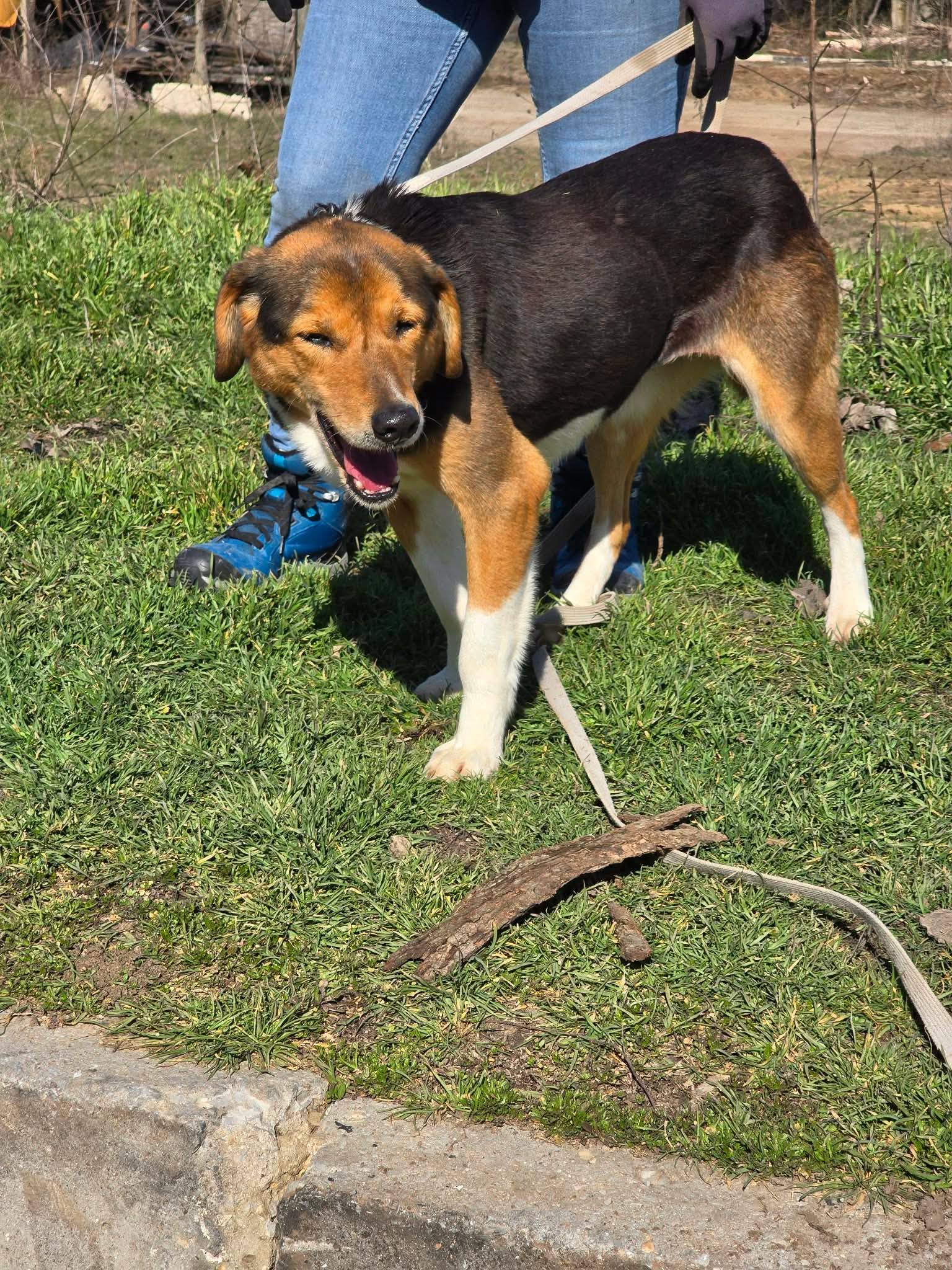 Olivia, Bild 10