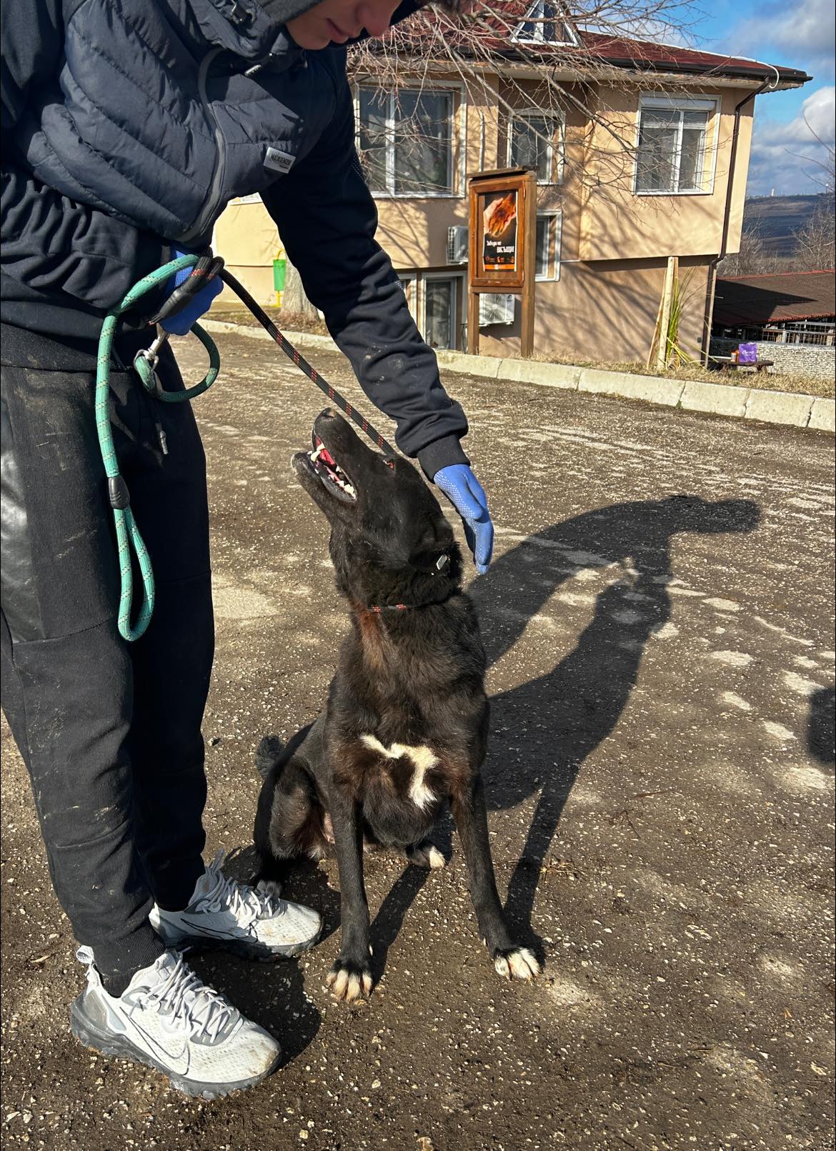 Onyx, Bild 2