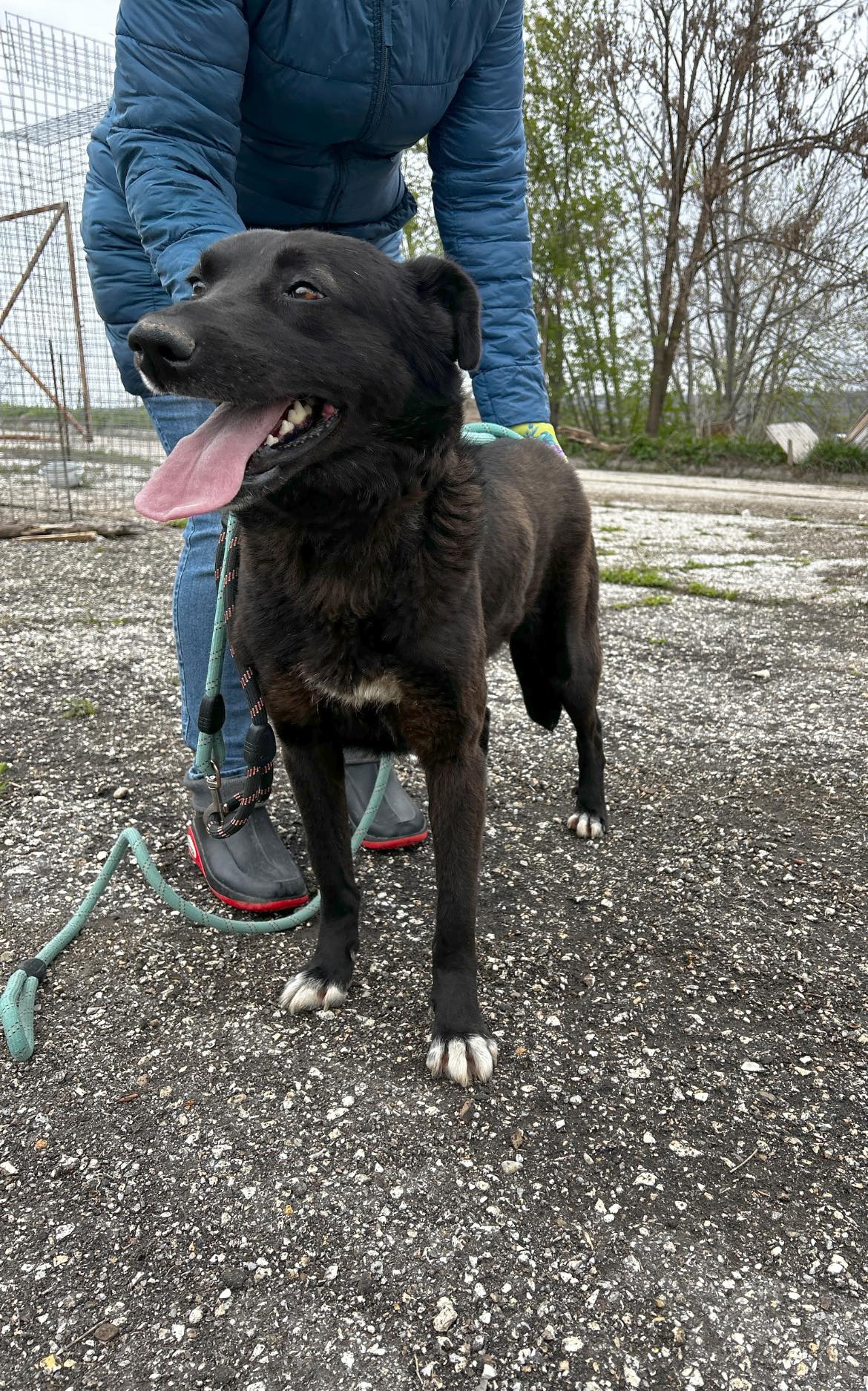 Onyx, Bild 20