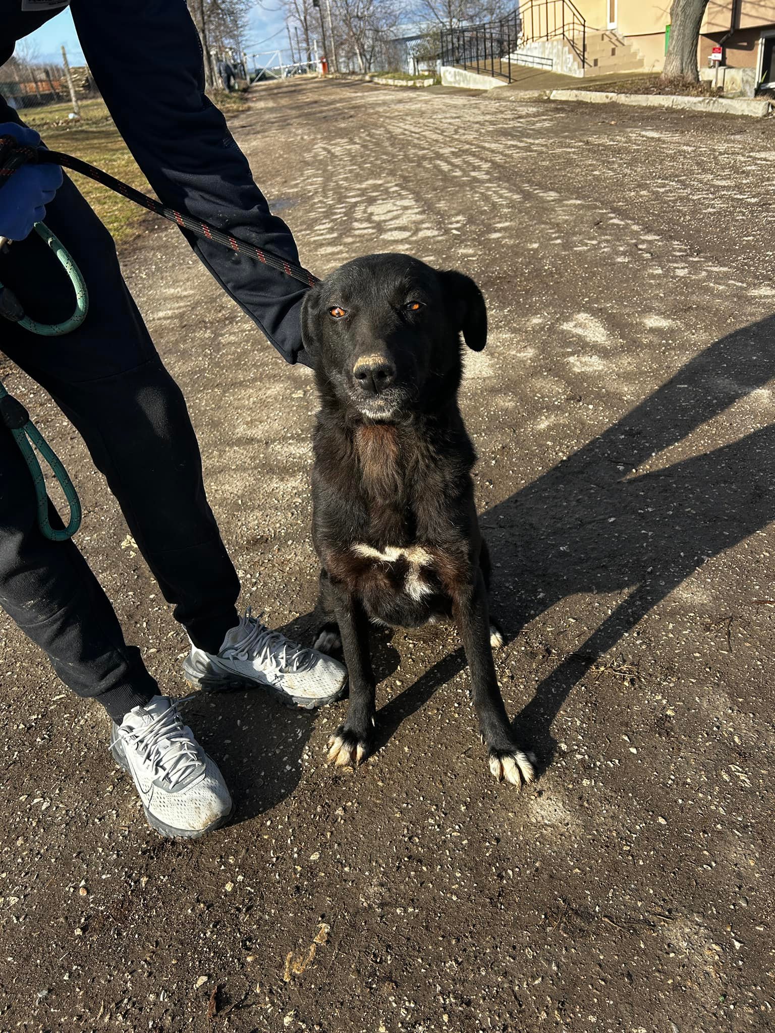 Onyx, Bild 3