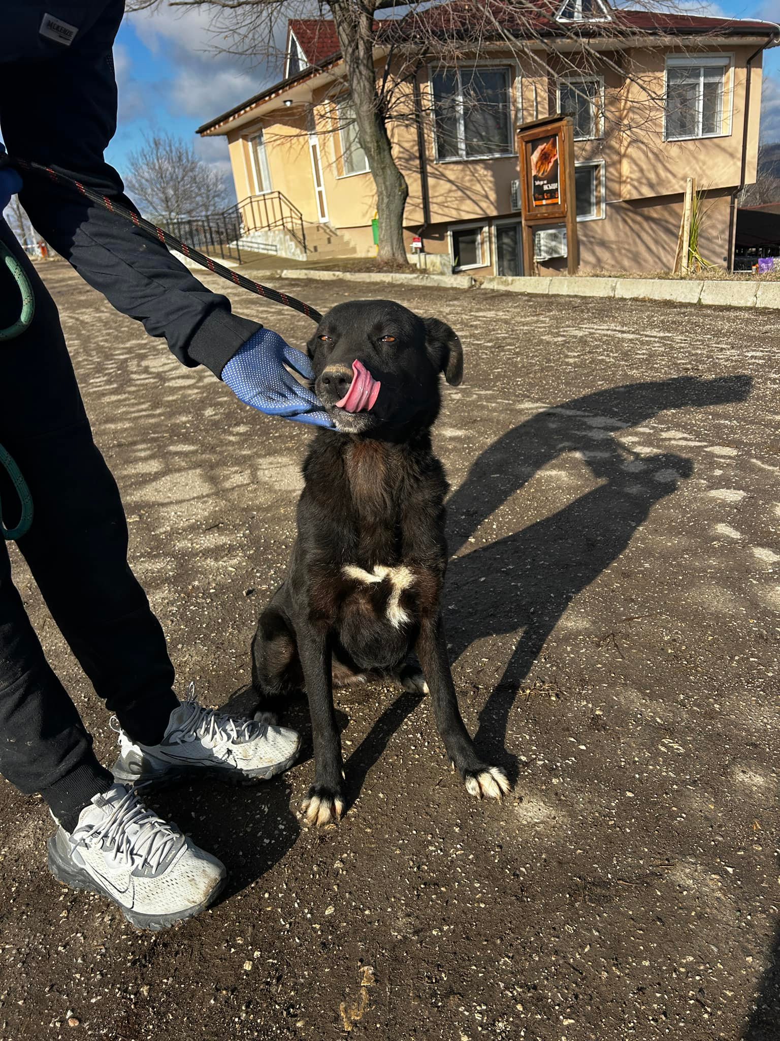 Onyx, Bild 4