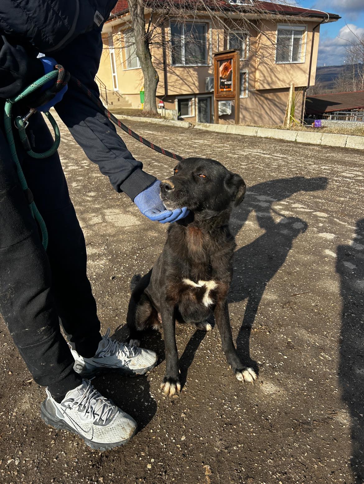 Onyx, Bild 5
