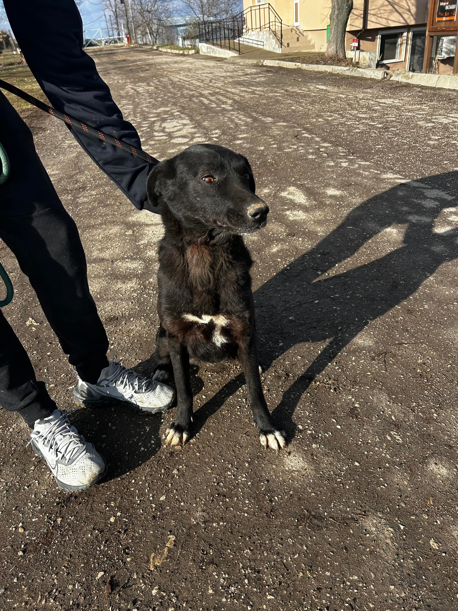 Onyx, Bild 6