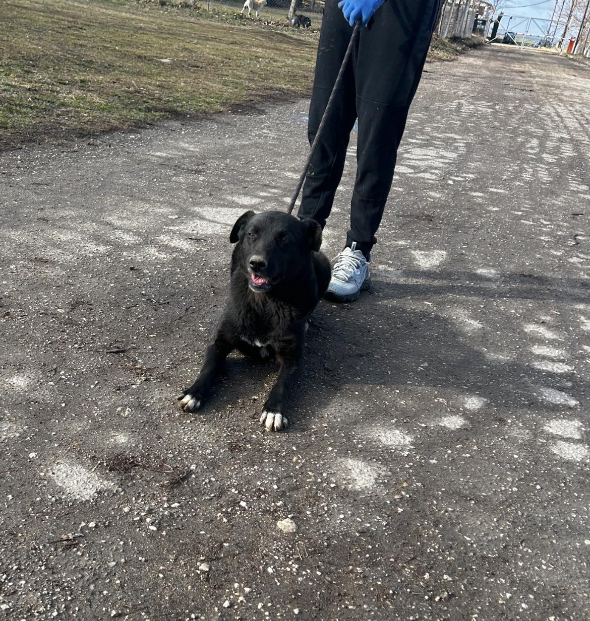 Onyx, Bild 7