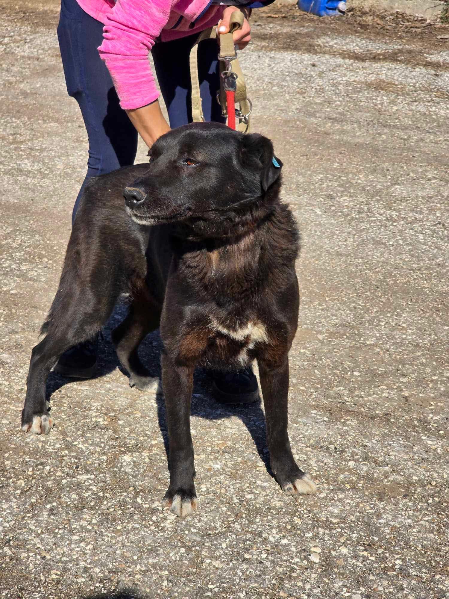 Onyx, Bild 9
