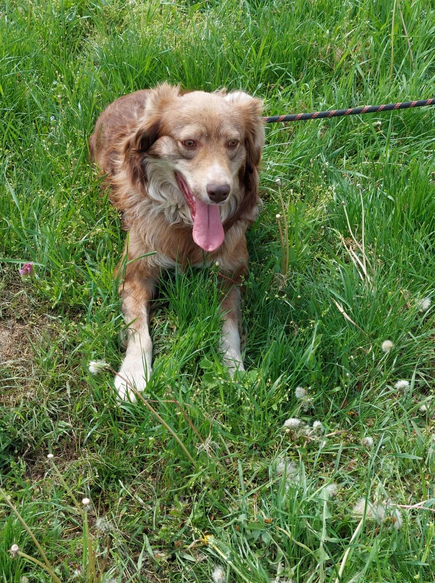 Patch, Bild 2