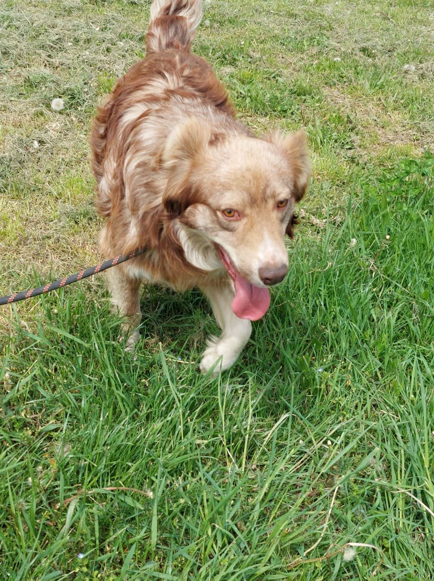 Patch, Bild 3
