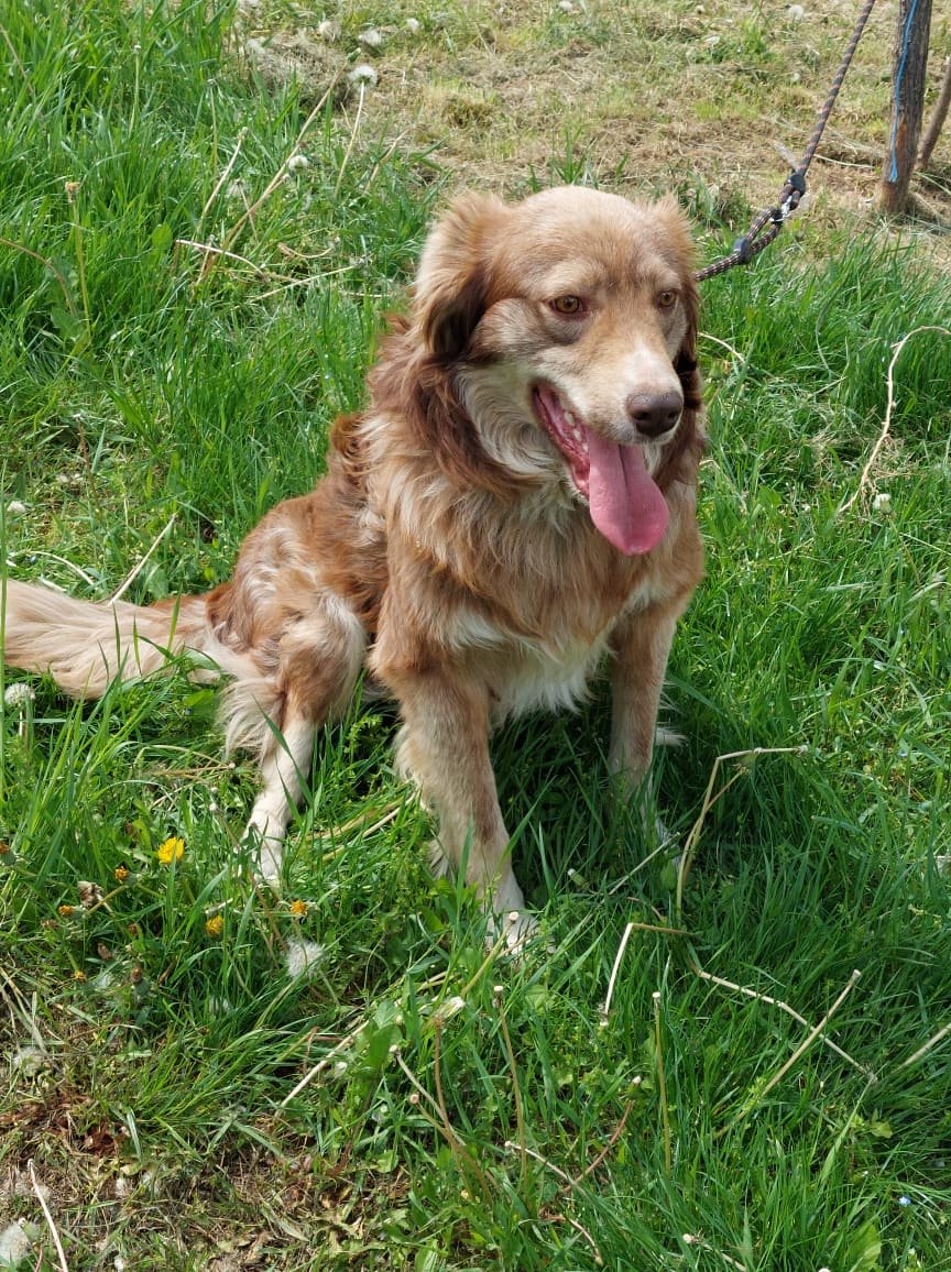 Patch, Bild 4