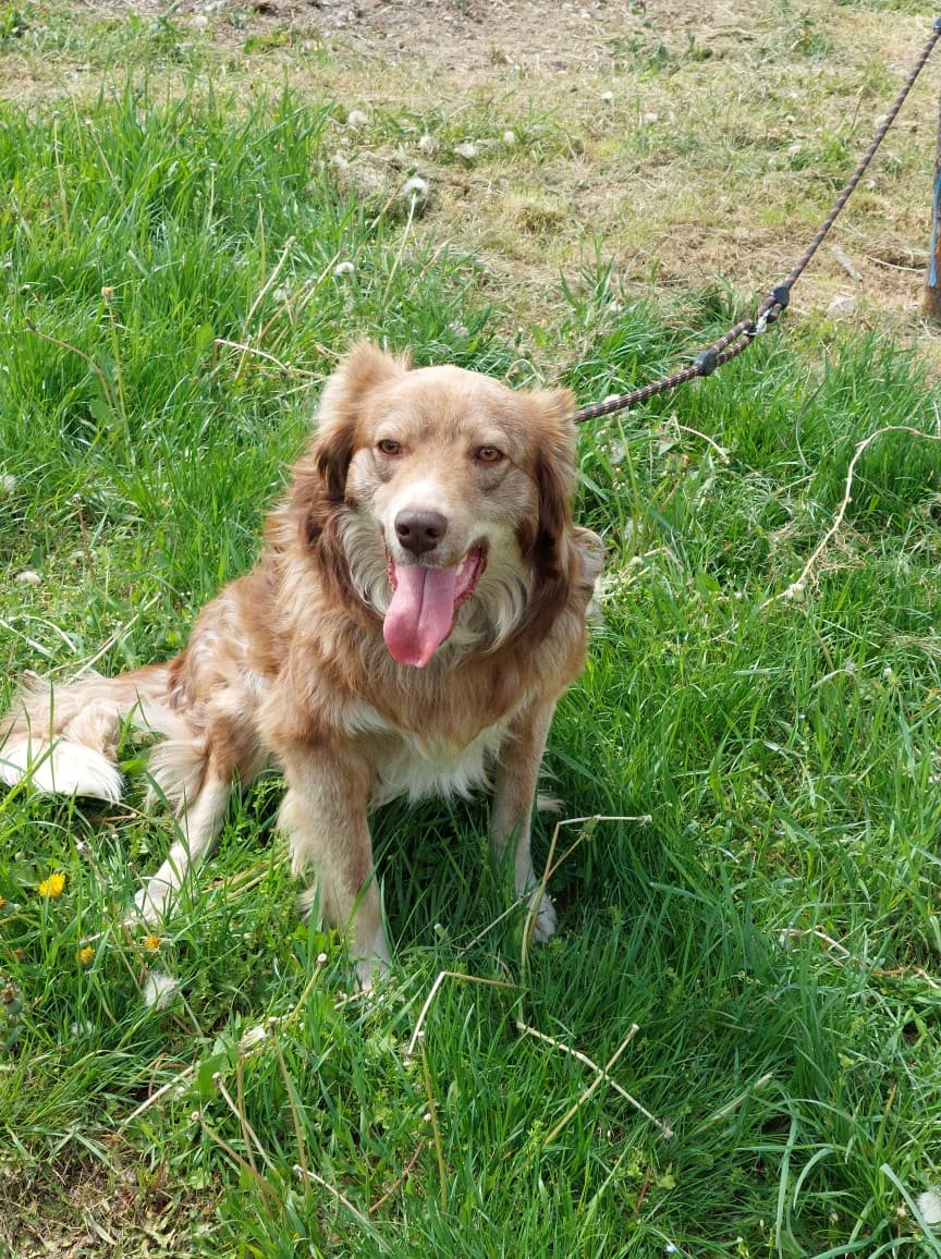 Patch, Bild 5