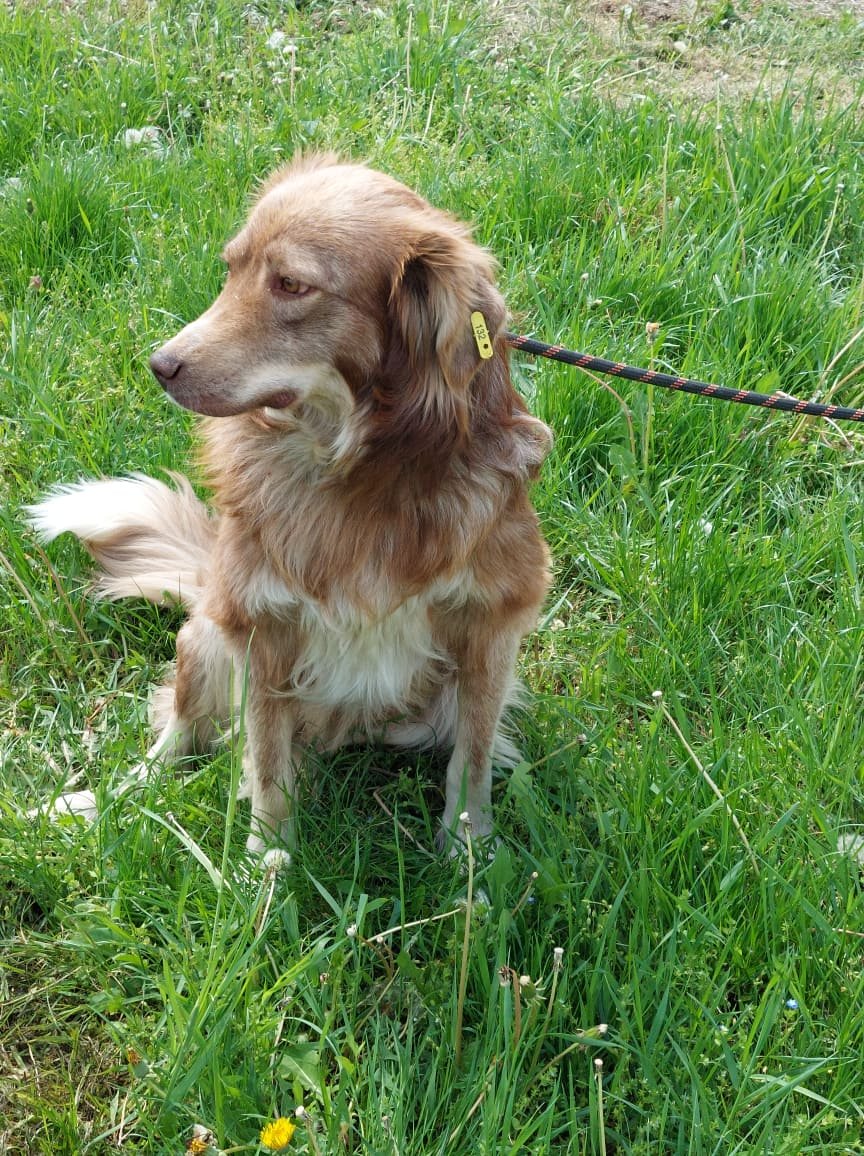 Patch, Bild 6