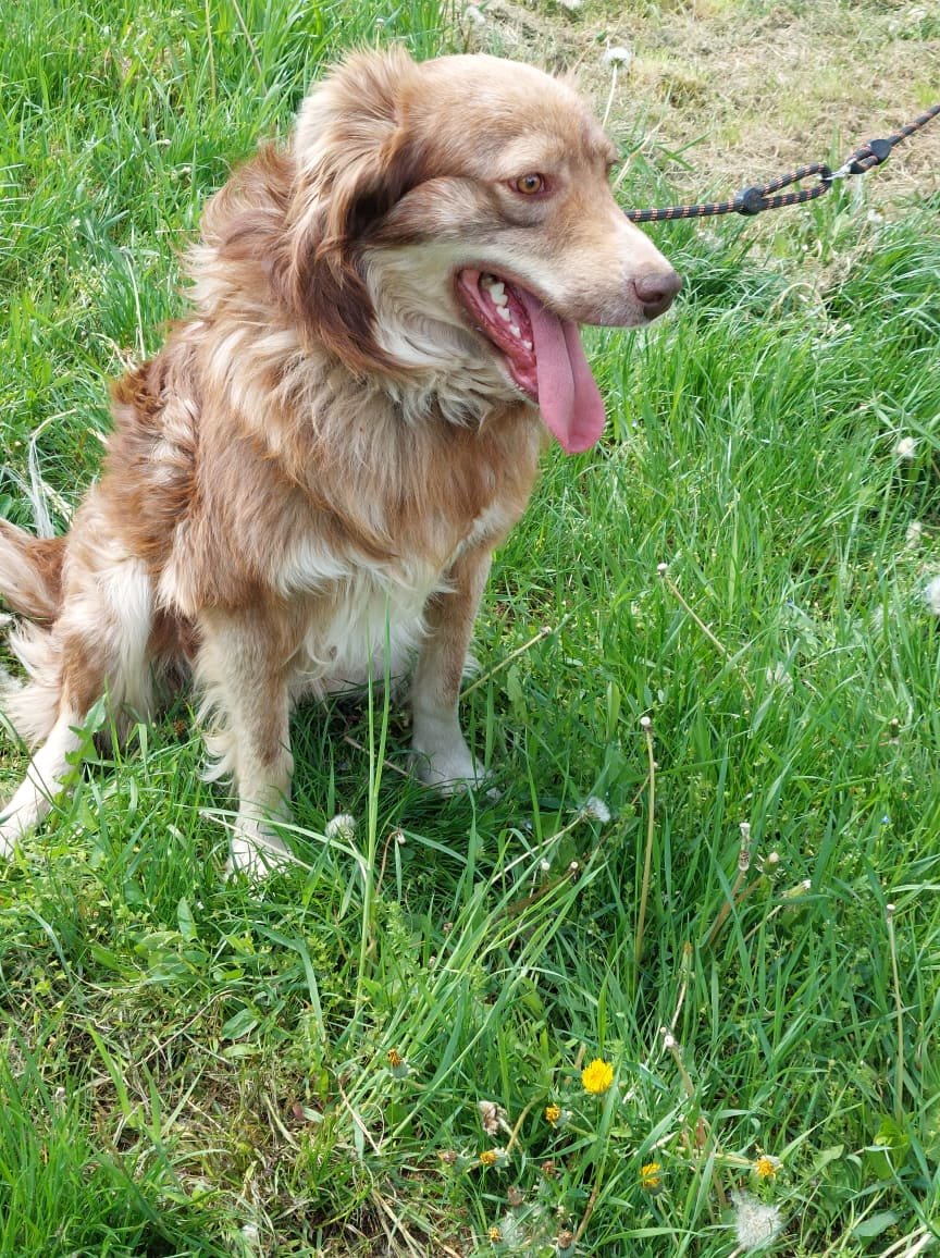 Patch, Bild 7