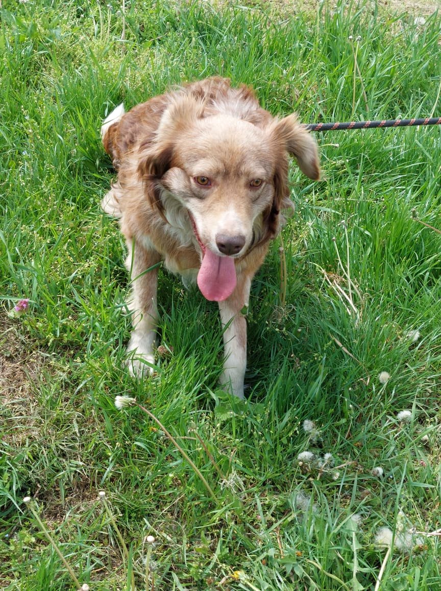 Patch, Bild 8