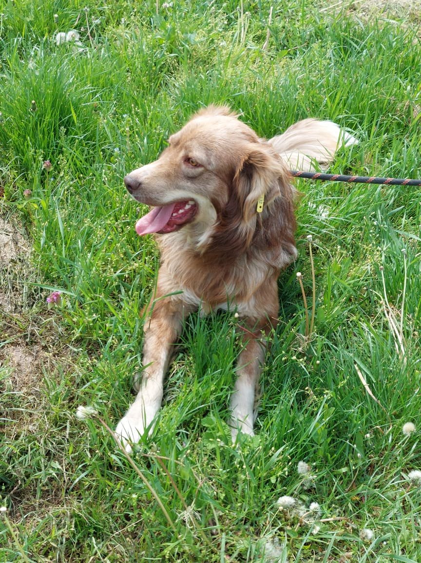Patch, Bild 9