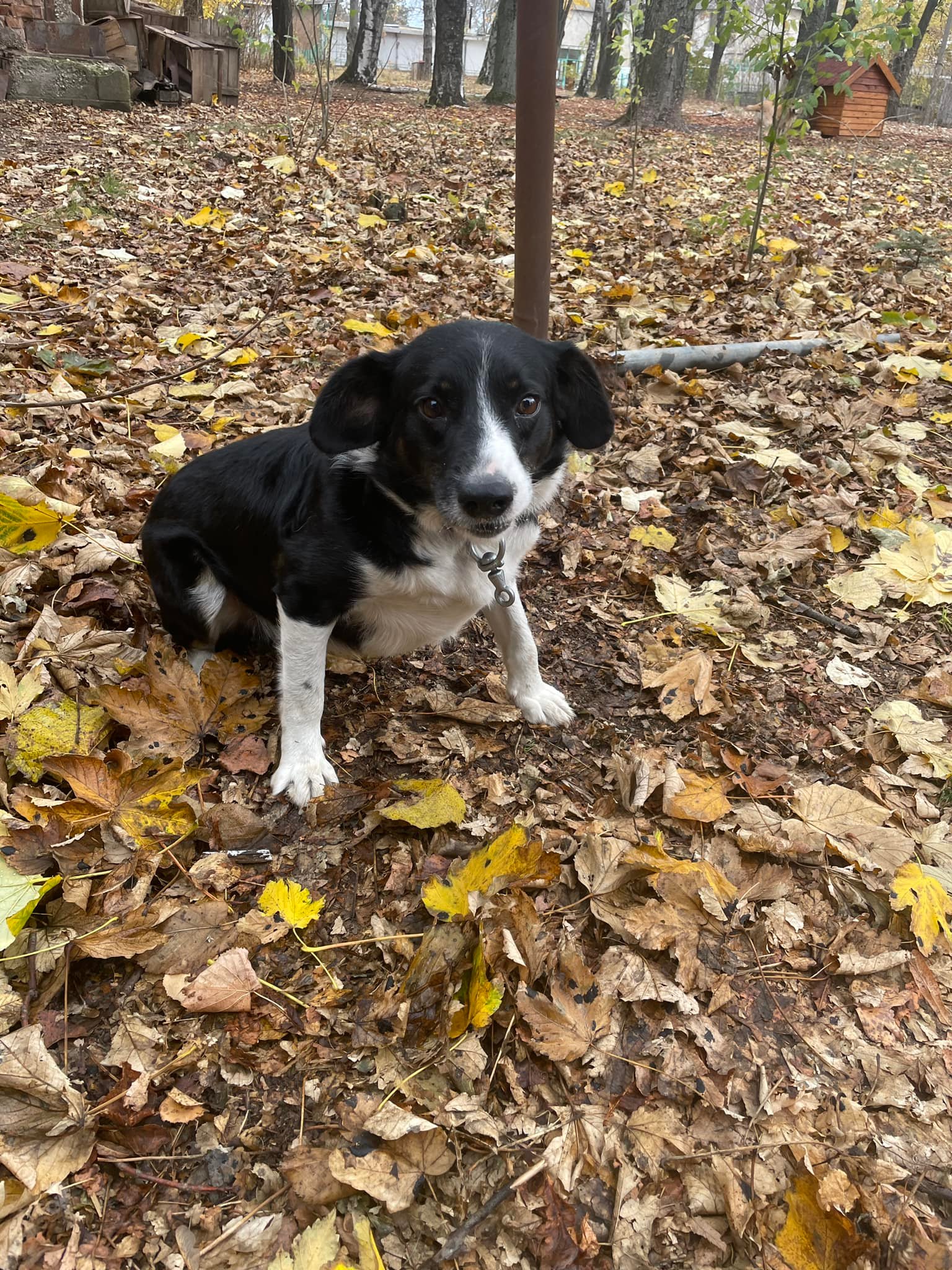 Rocky, Bild 11