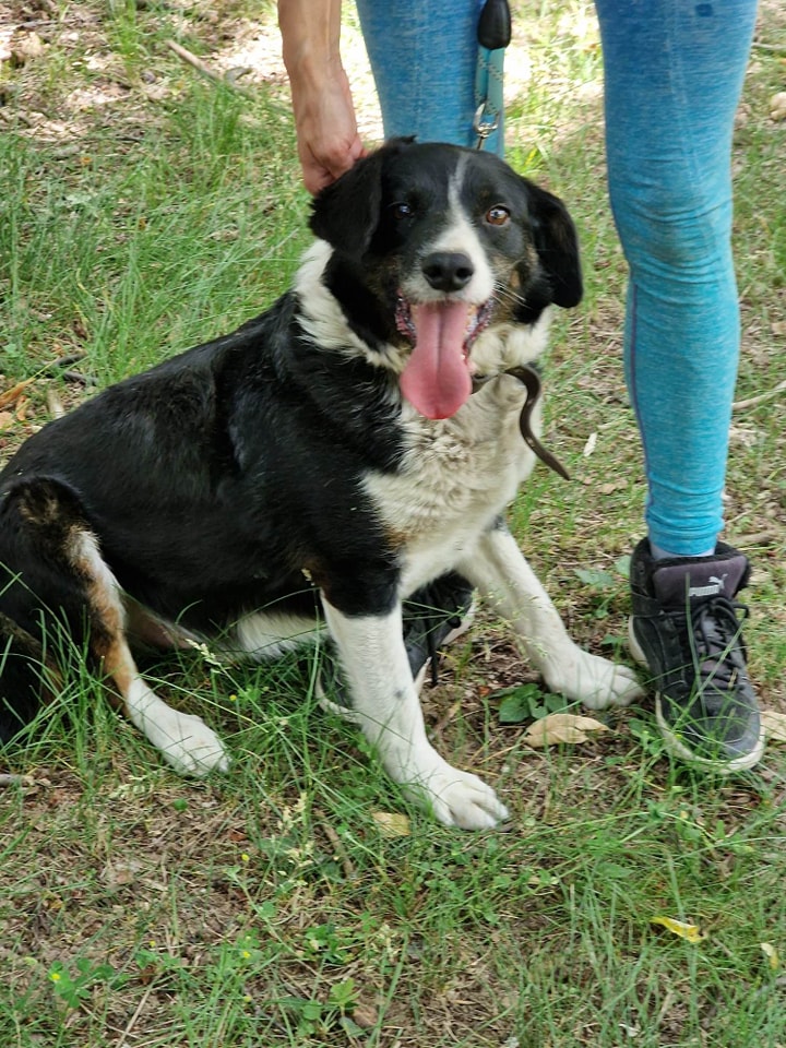 Rocky, Bild 14