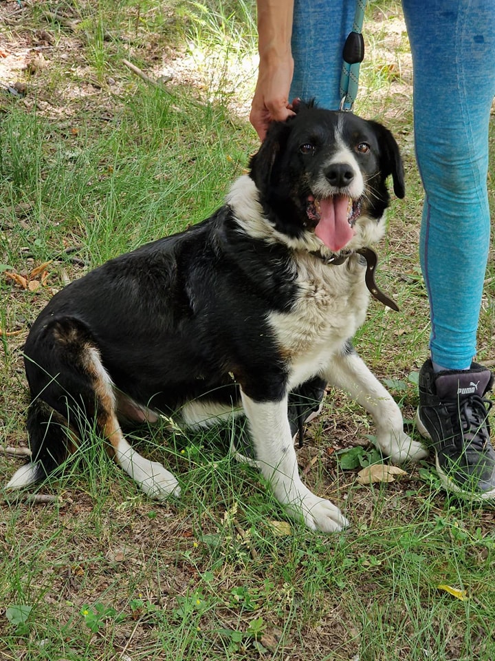 Rocky, Bild 15