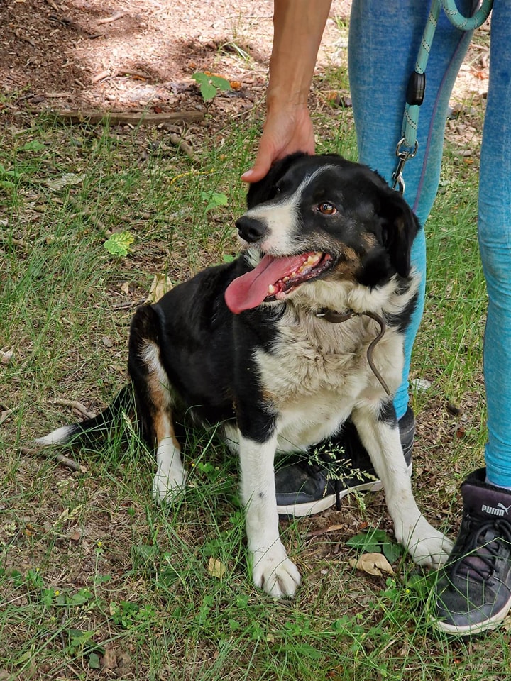 Rocky, Bild 16