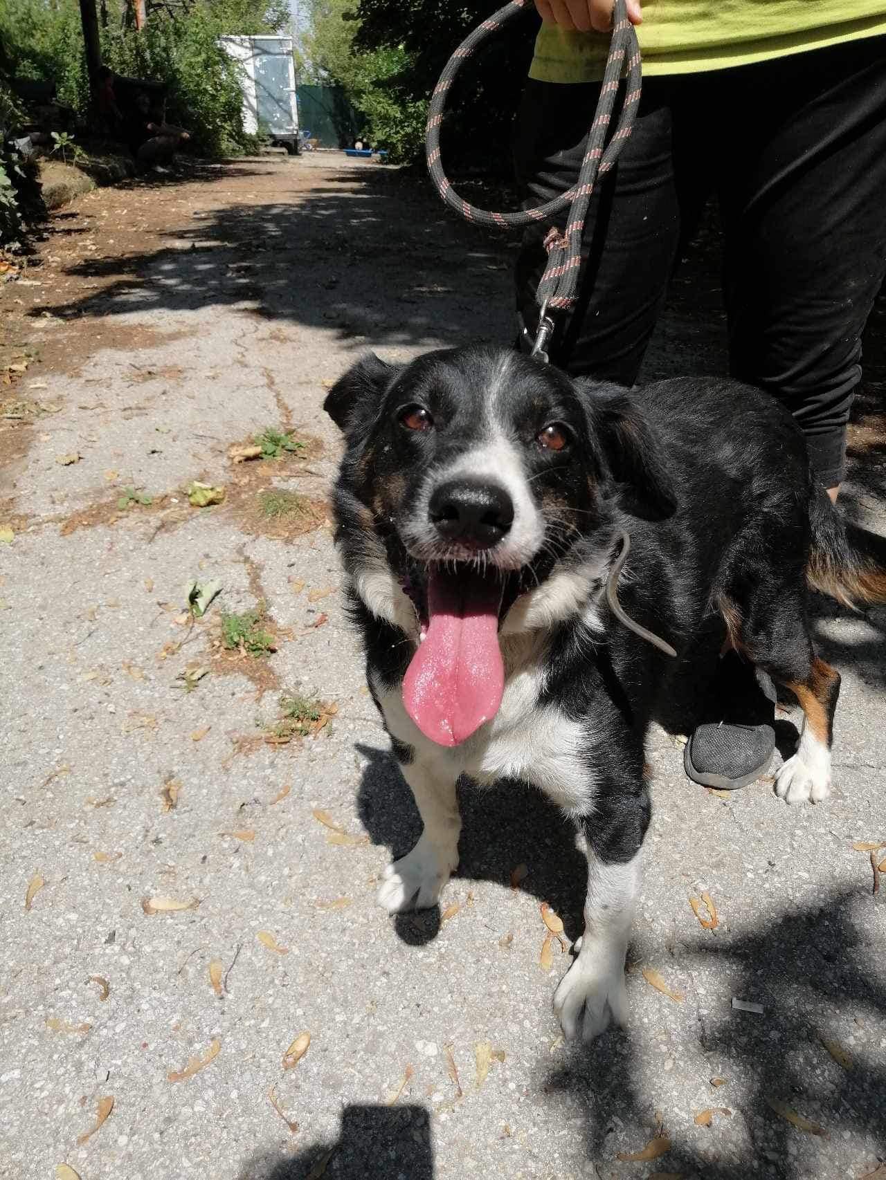 Rocky, Bild 18