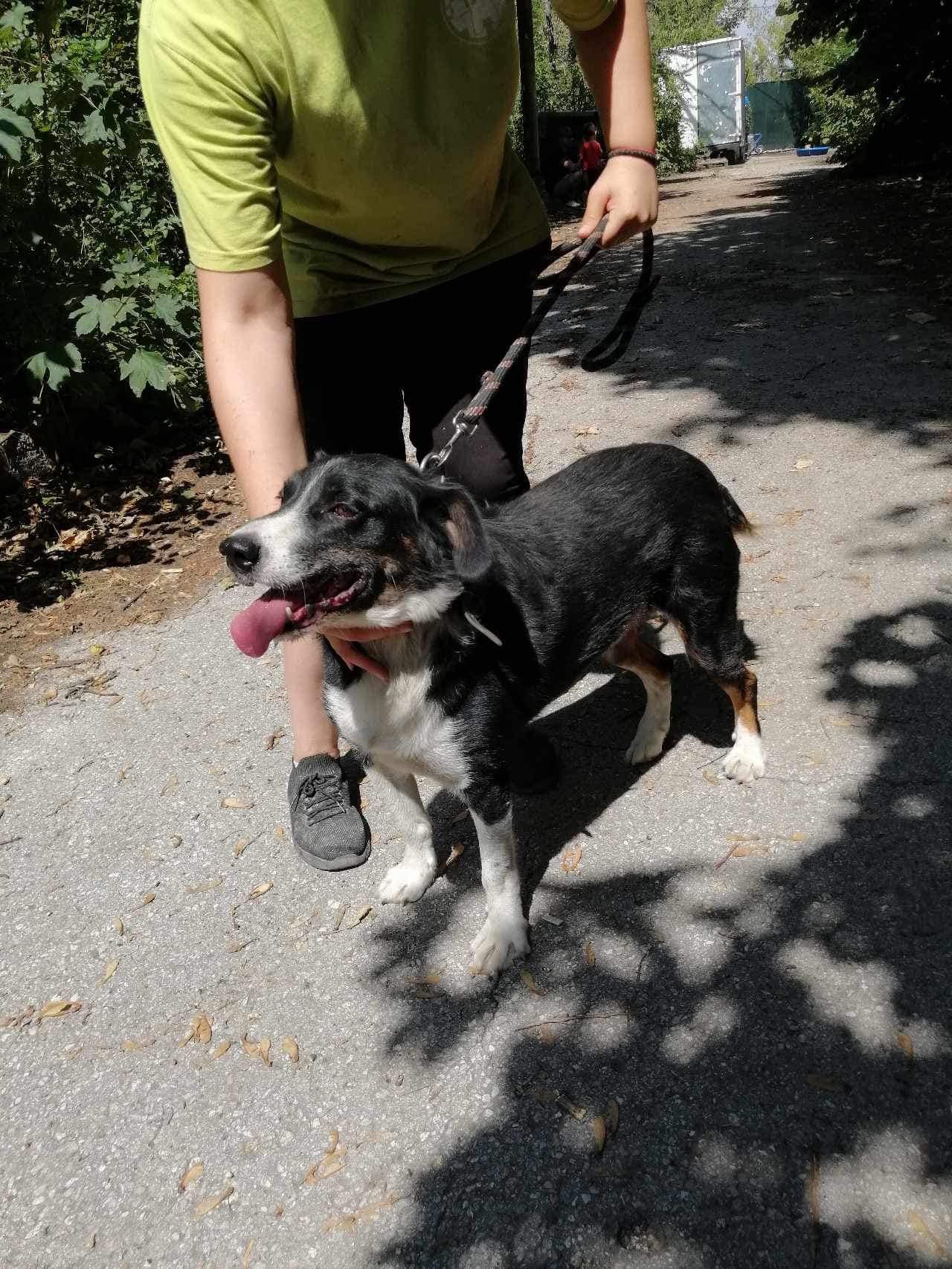 Rocky, Bild 19