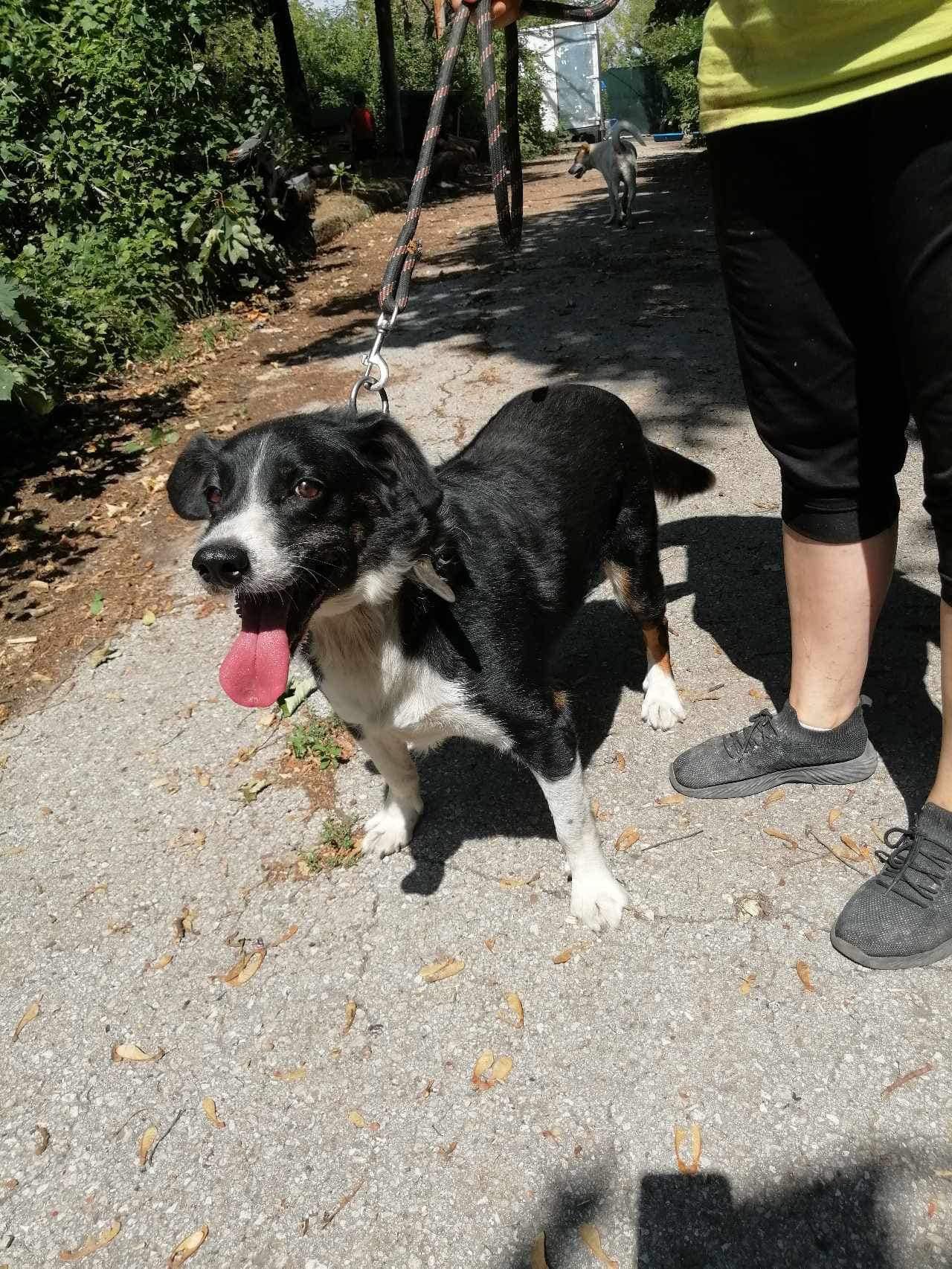 Rocky, Bild 20