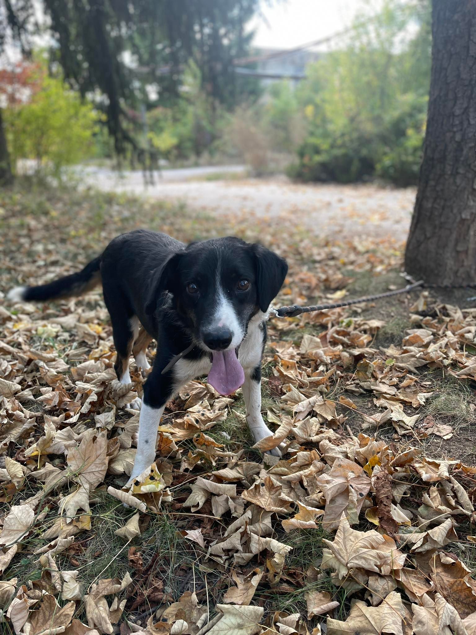 Rocky, Bild 3