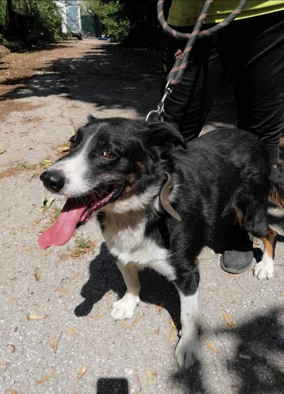 Rocky, Bild 21