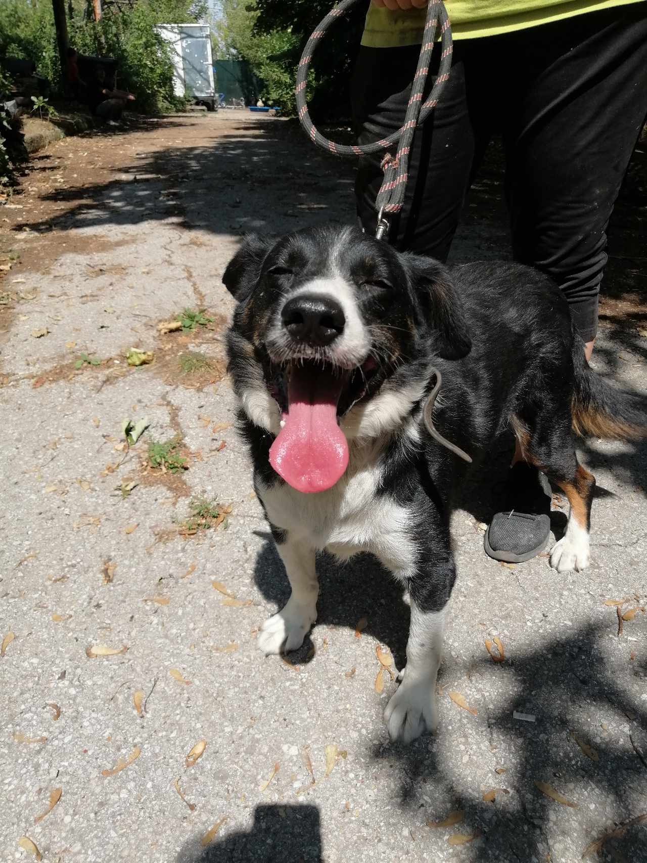 Rocky, Bild 22