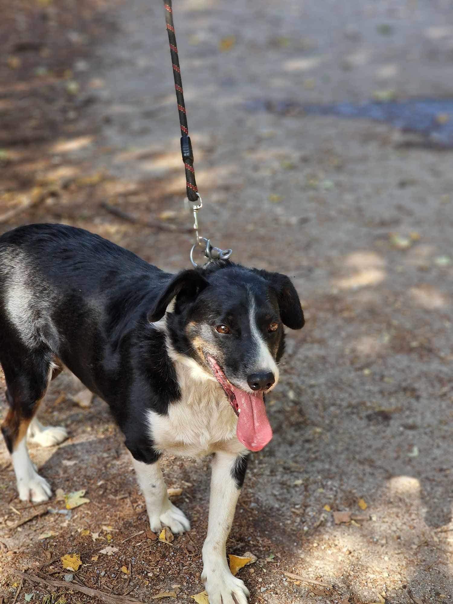 Rocky, Bild 25