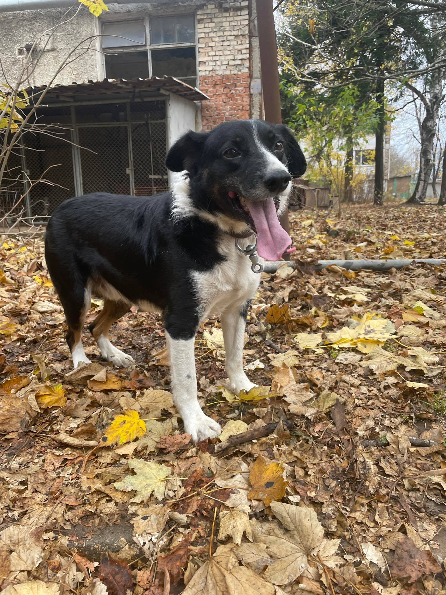 Rocky, Bild 6