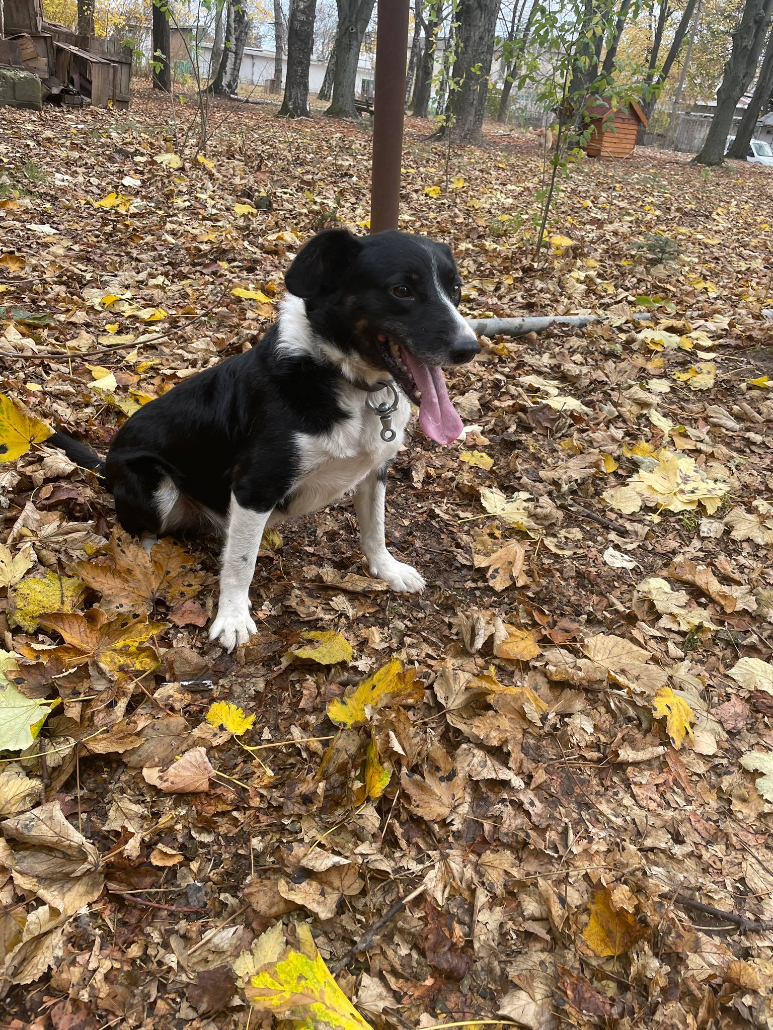 Rocky, Bild 7
