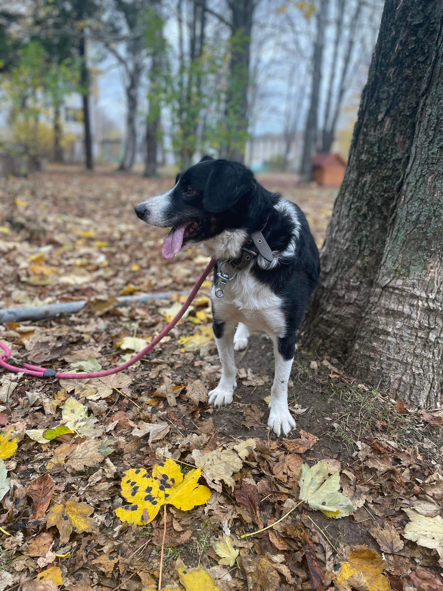Rocky, Bild 10