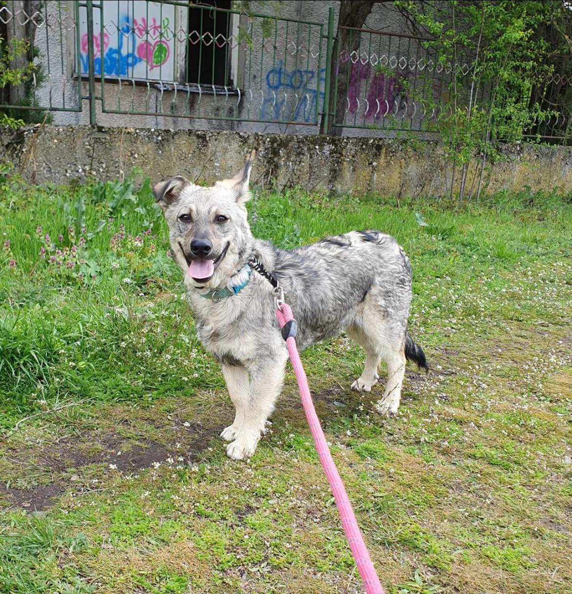 Ronnie, Bild 13