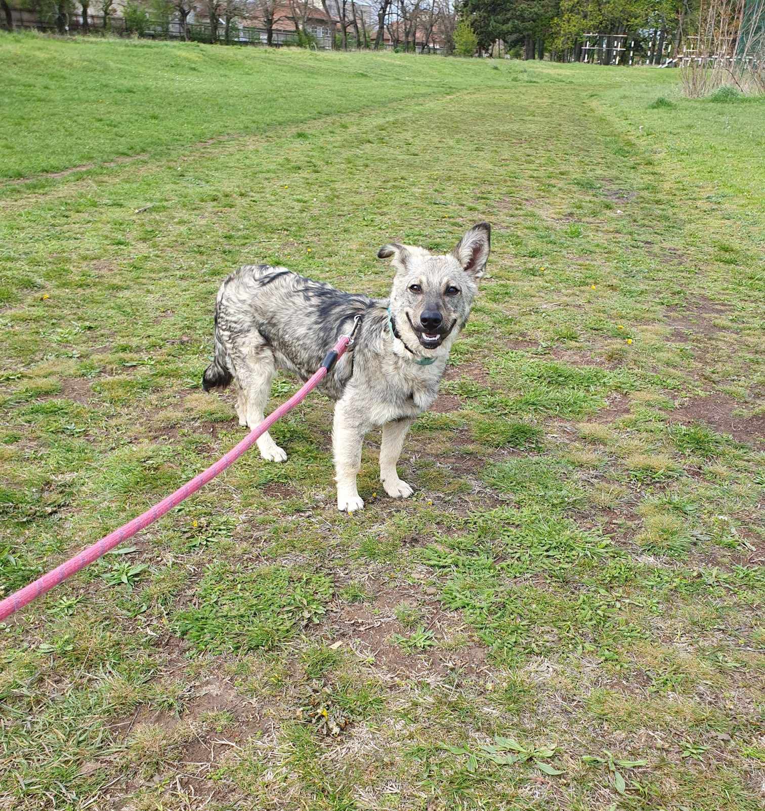 Ronnie, Bild 22