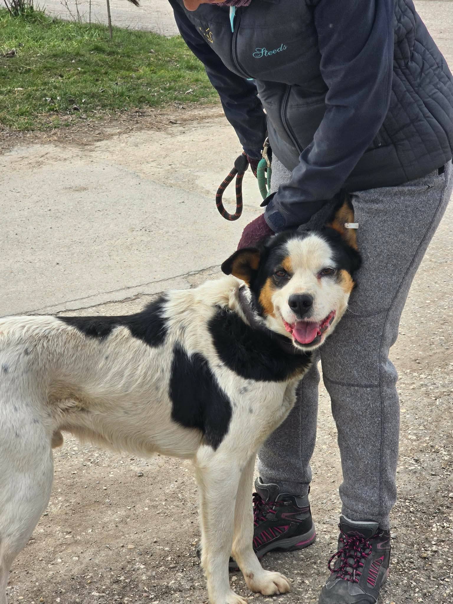 Rory, Bild 2