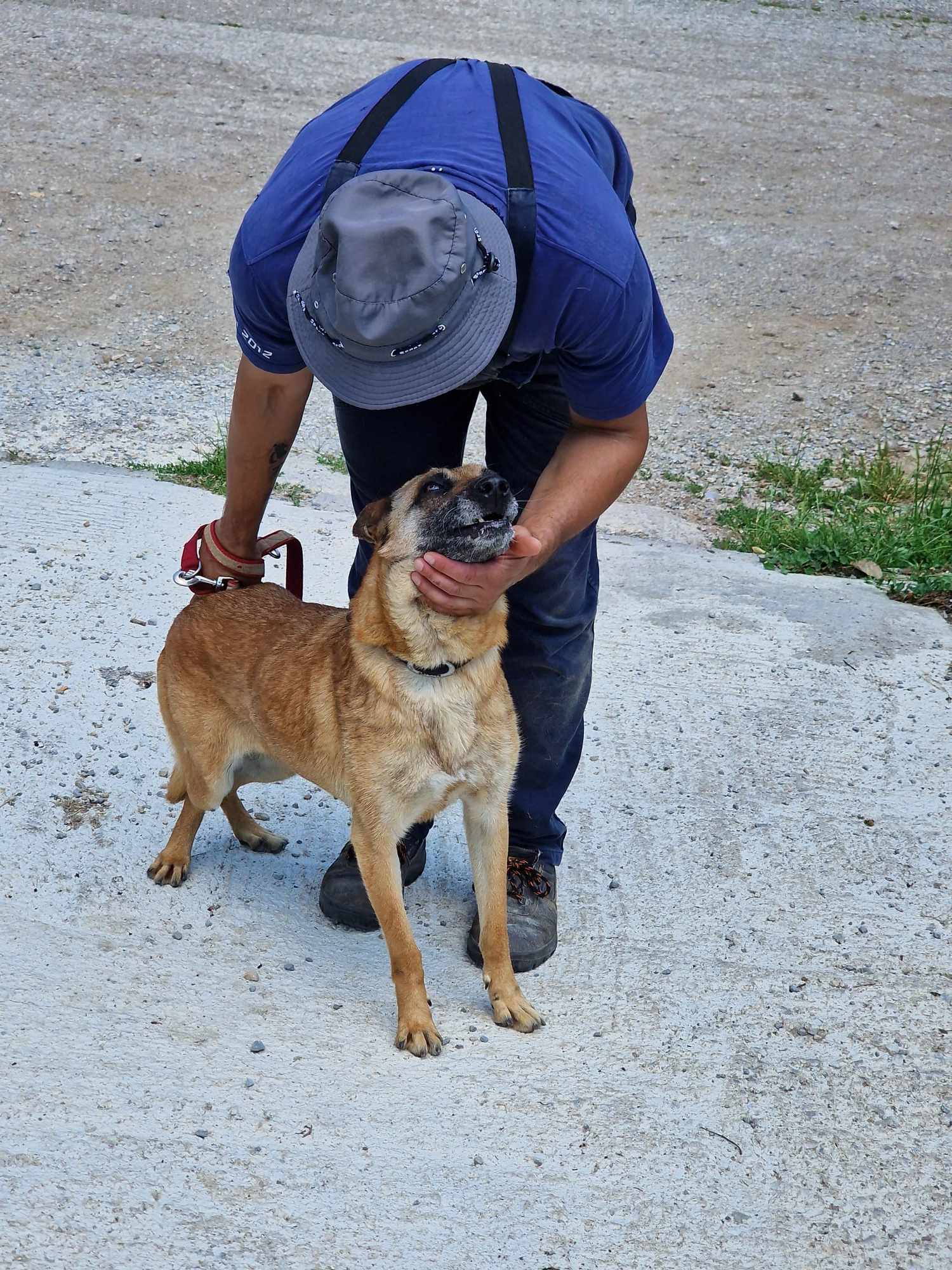 Ruby alias "16", Bild 13