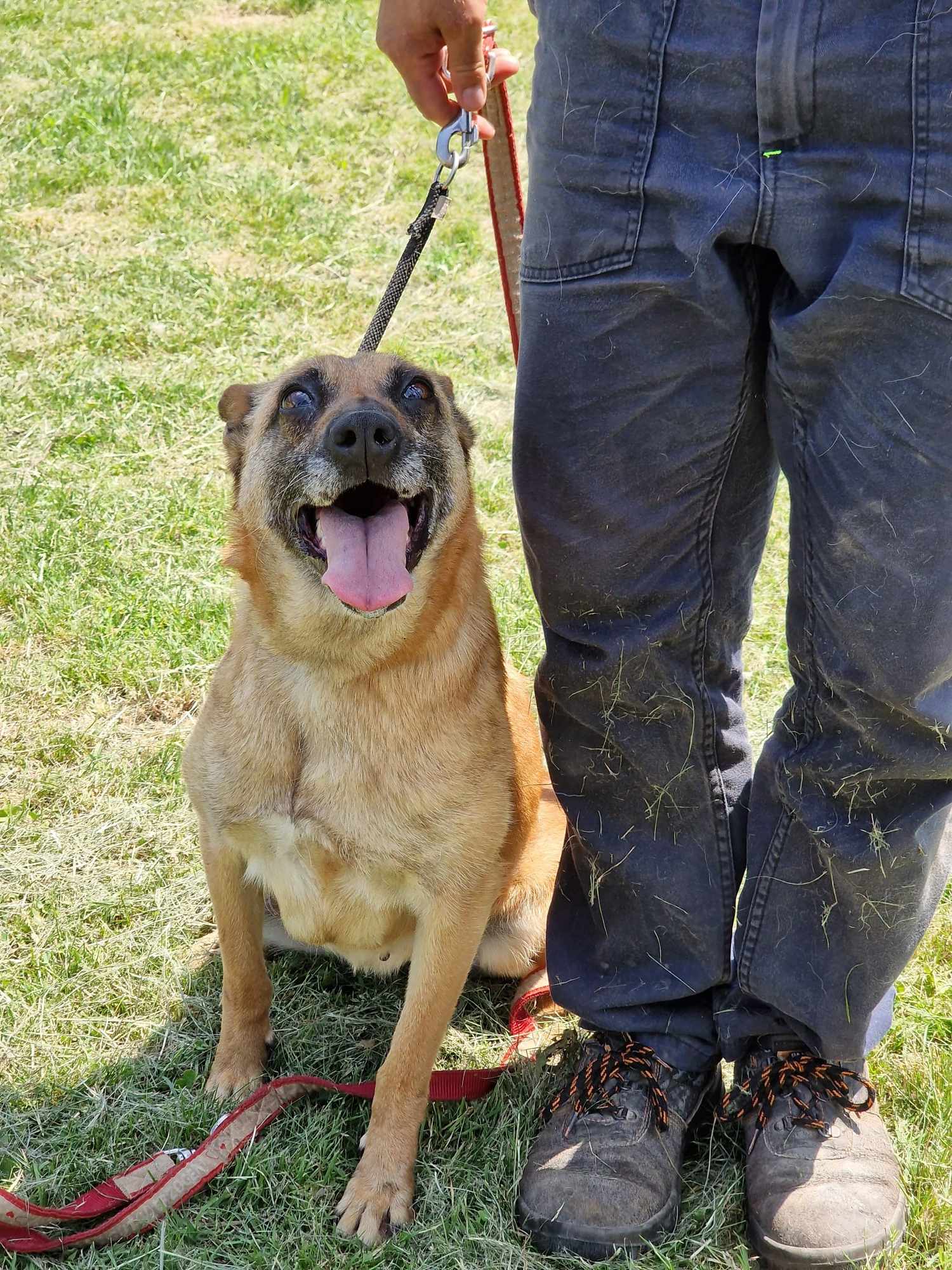 Ruby alias "16", Bild 15