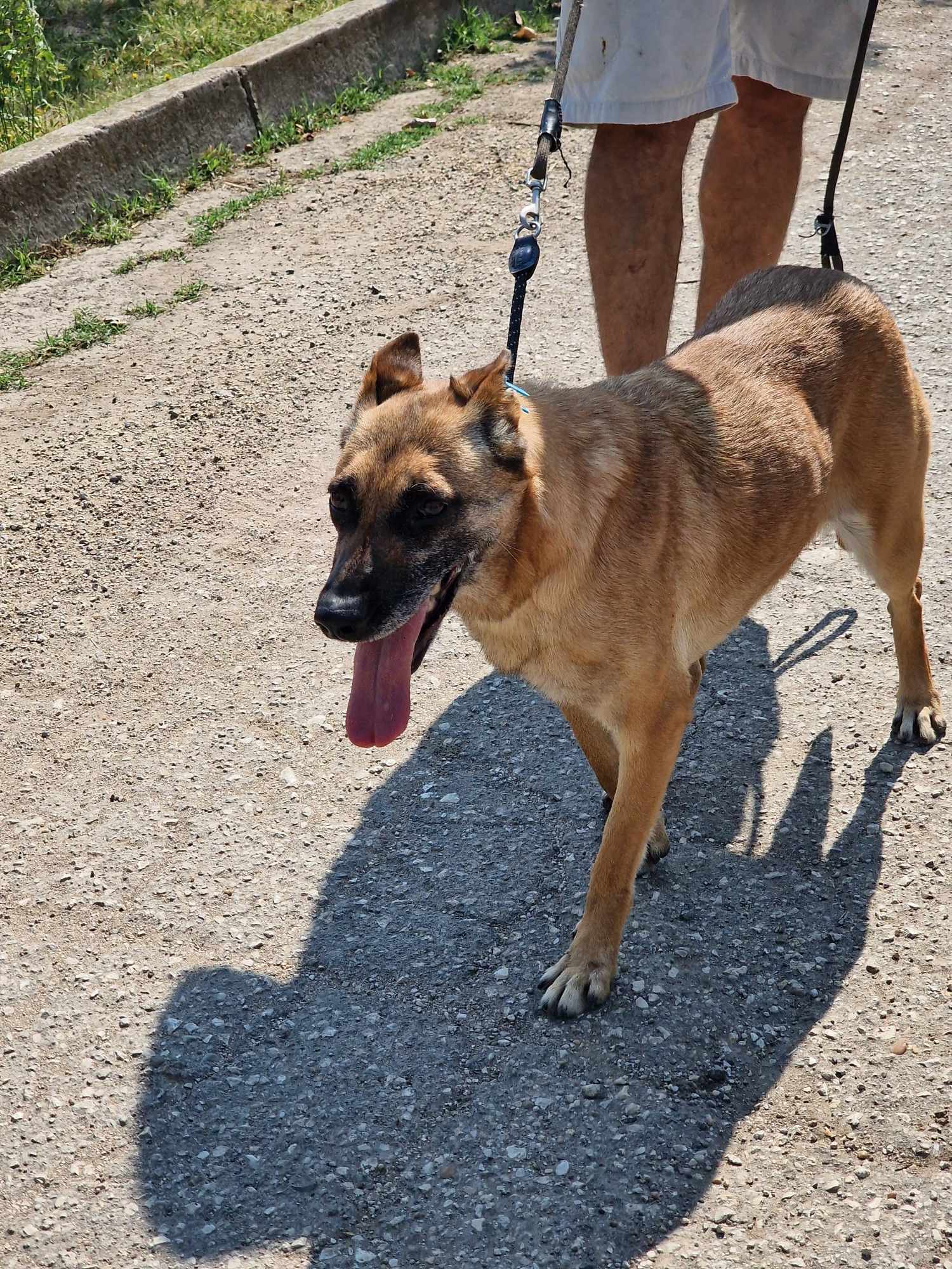 Ruby alias "16", Bild 3