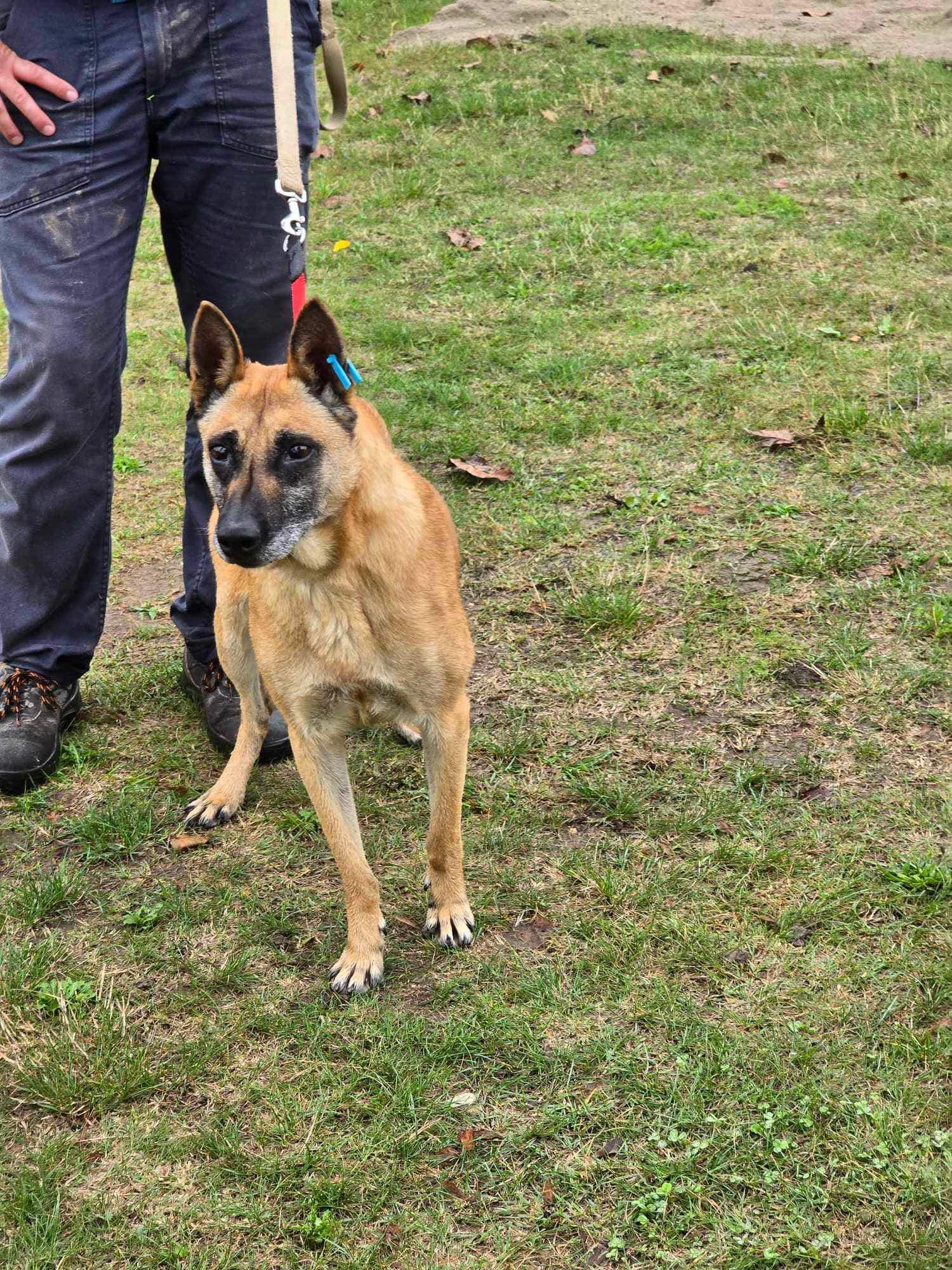 Ruby alias "16", Bild 25
