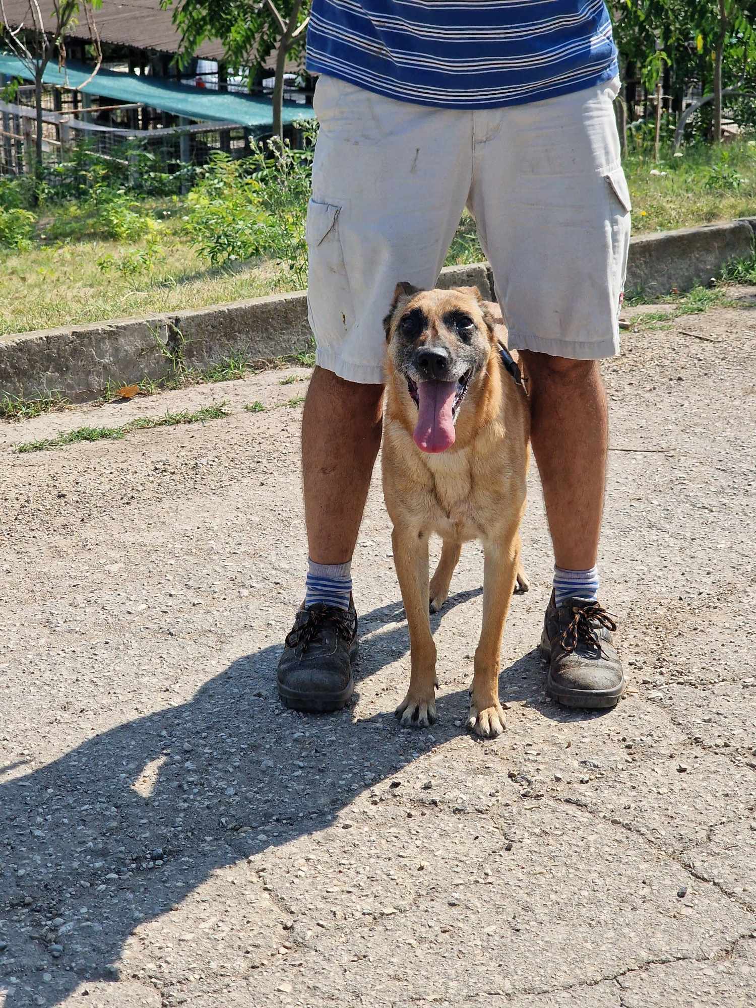 Ruby alias "16", Bild 9