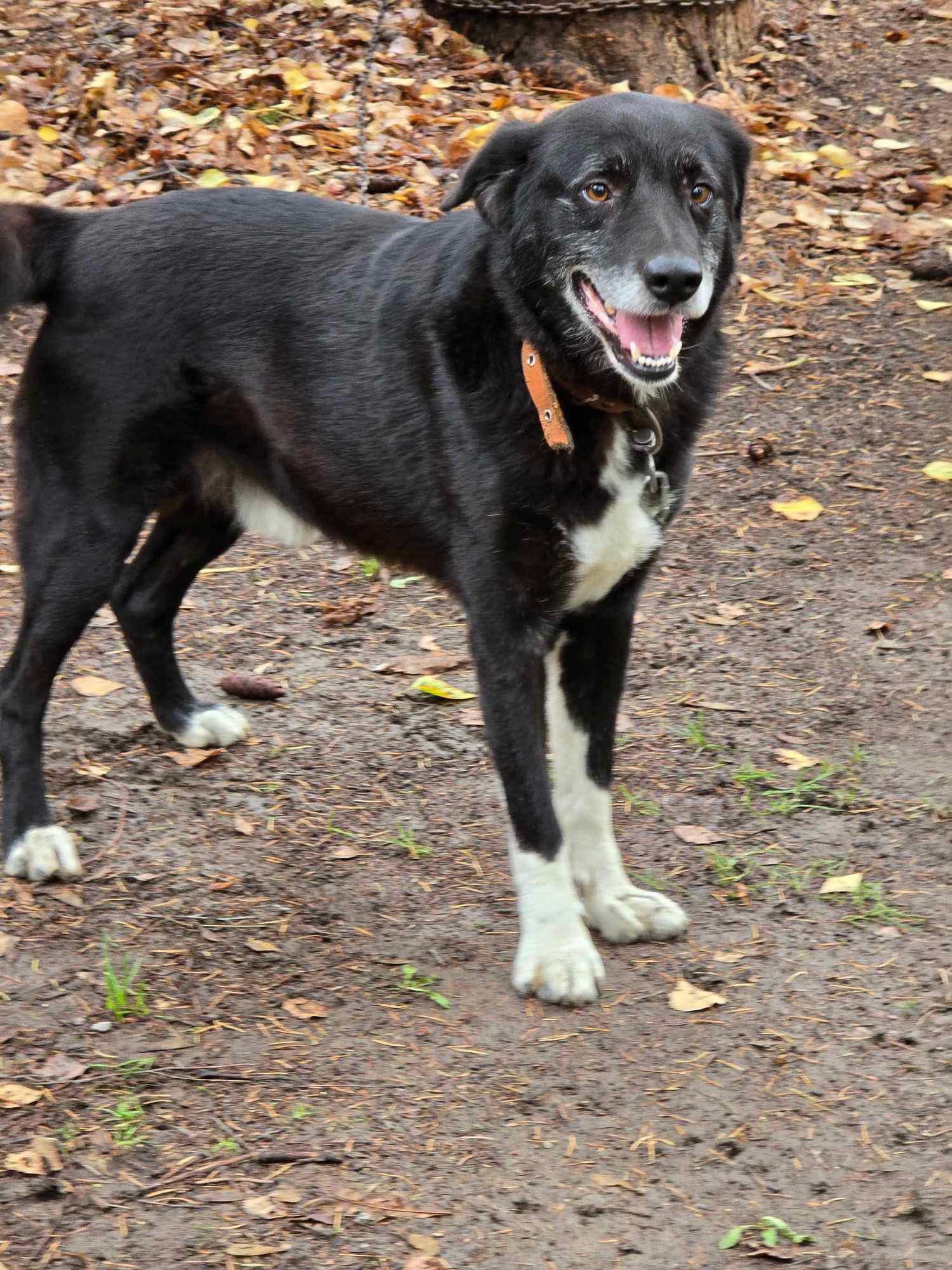 Sammy, Bild 2