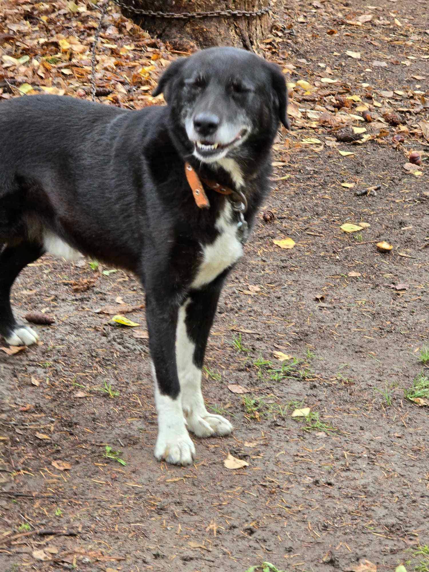 Sammy, Bild 3